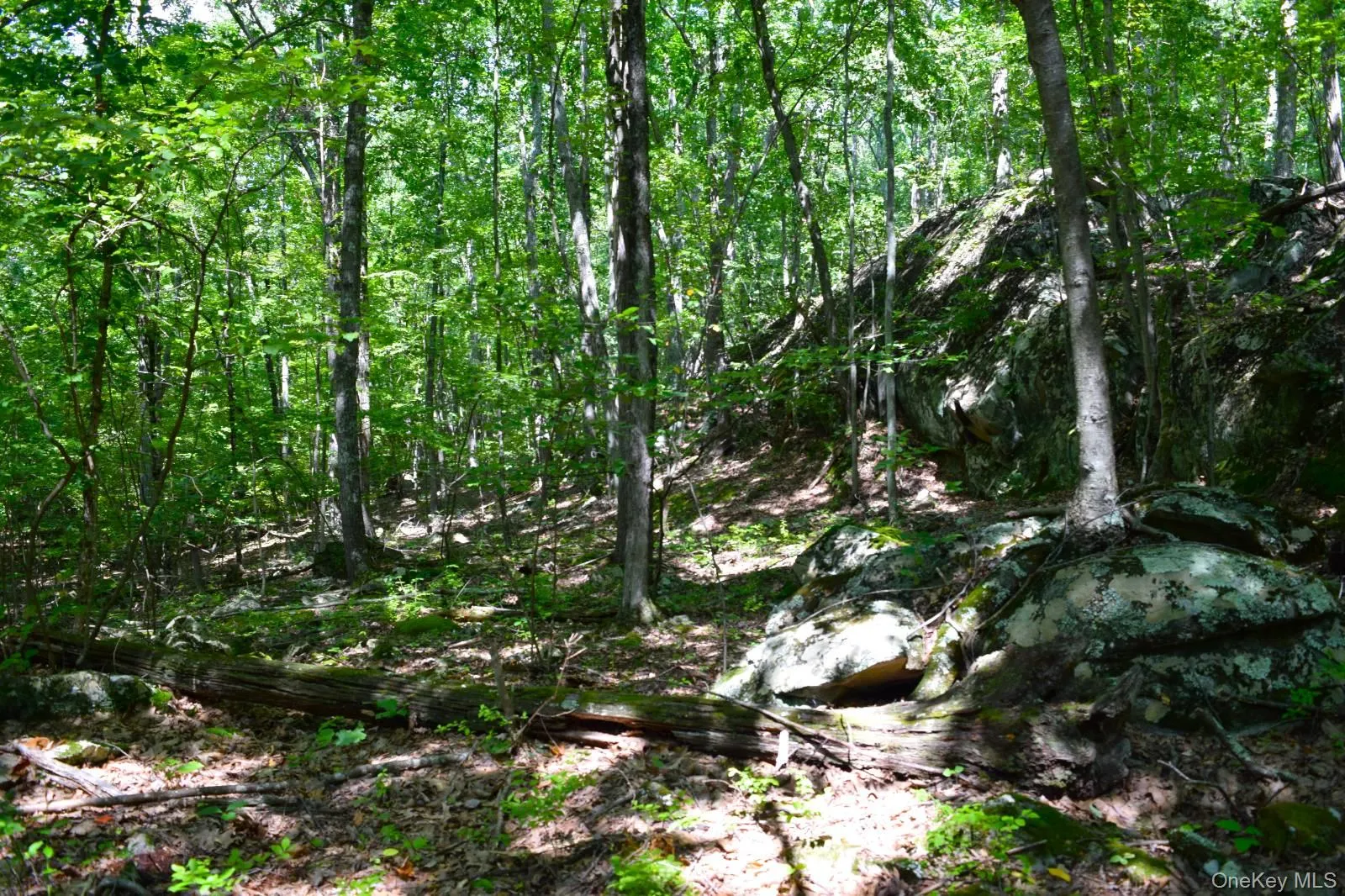 33 Old East Road, Plattekill, NY, ,Land,For Rent,Old East,0,1042765 33 Old East Road, Plattekill, NY, ,Land,For Rent,Old East,0,1042765