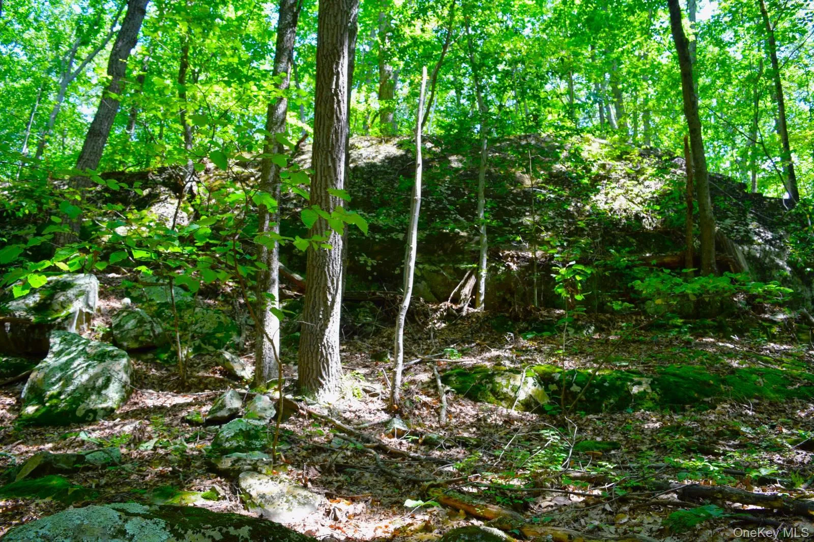 33 Old East Road, Plattekill, NY, ,Land,For Rent,Old East,0,1042765 33 Old East Road, Plattekill, NY, ,Land,For Rent,Old East,0,1042765