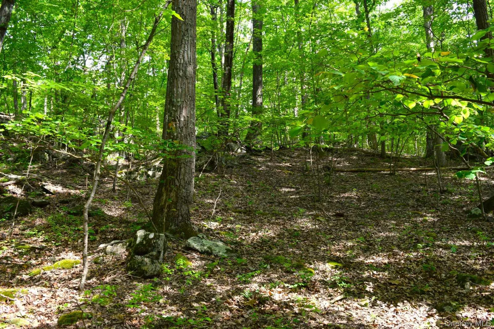 33 Old East Road, Plattekill, NY, ,Land,For Rent,Old East,0,1042765 33 Old East Road, Plattekill, NY, ,Land,For Rent,Old East,0,1042765