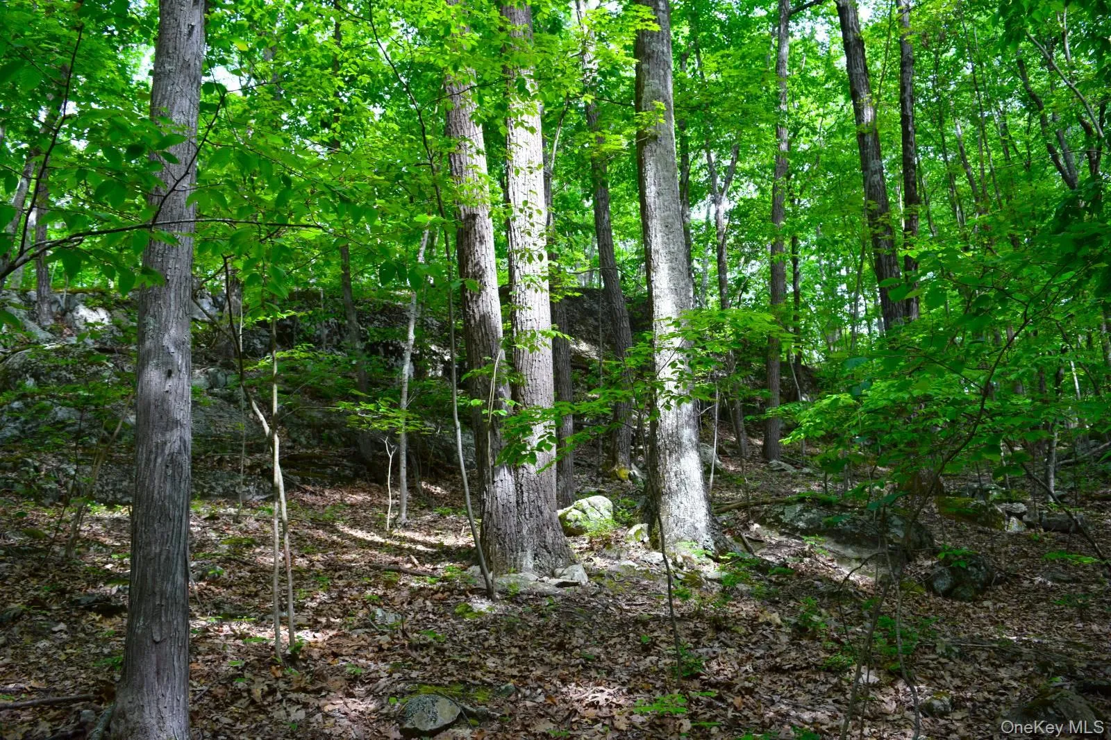 33 Old East Road, Plattekill, NY, ,Land,For Rent,Old East,0,1042765 33 Old East Road, Plattekill, NY, ,Land,For Rent,Old East,0,1042765