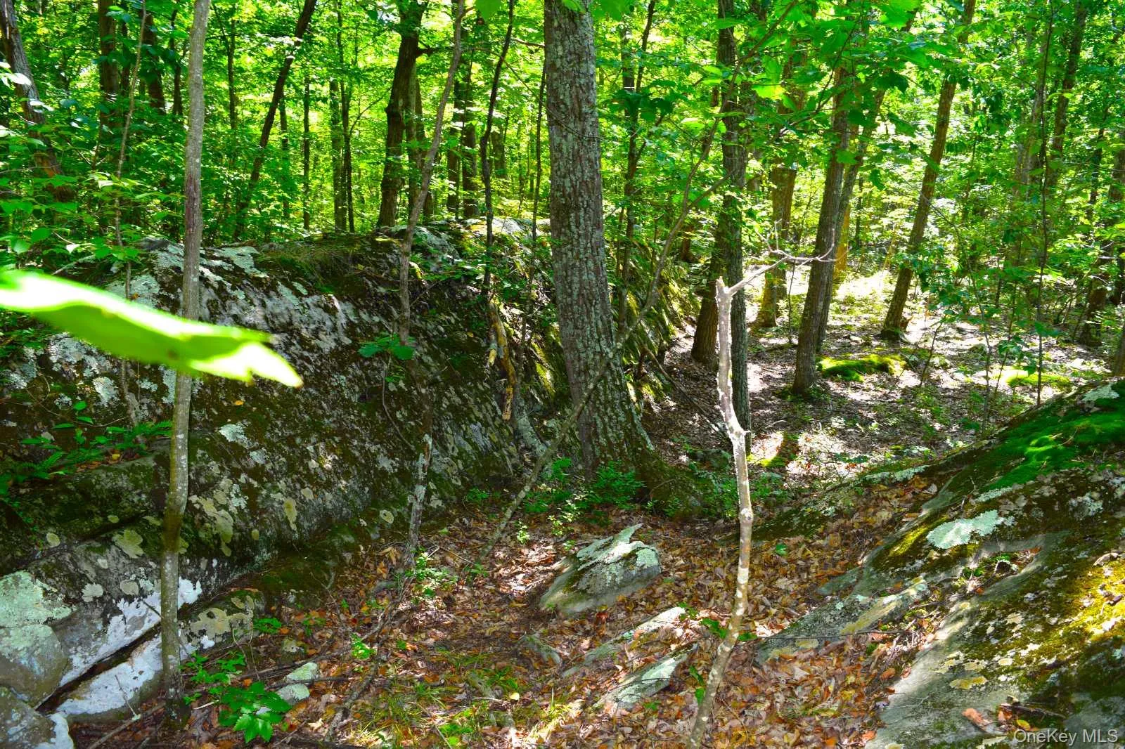 33 Old East Road, Plattekill, NY, ,Land,For Rent,Old East,0,1042765 33 Old East Road, Plattekill, NY, ,Land,For Rent,Old East,0,1042765