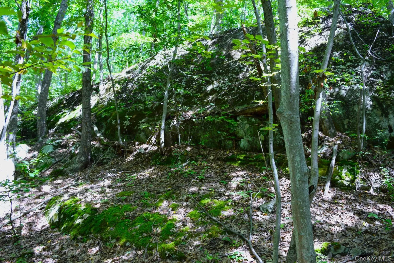 33 Old East Road, Plattekill, NY, ,Land,For Rent,Old East,0,1042765 33 Old East Road, Plattekill, NY, ,Land,For Rent,Old East,0,1042765