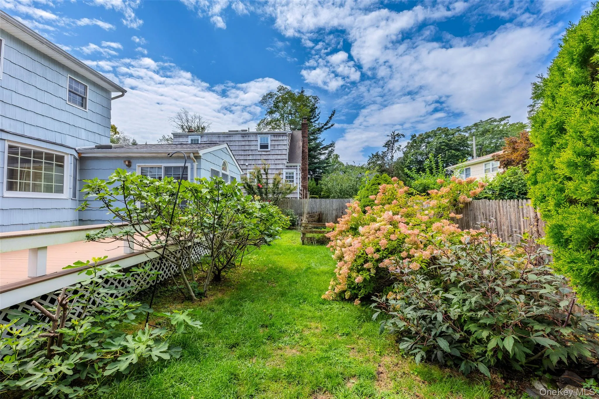 Backyard space and mature plantings Backyard space and mature plantings