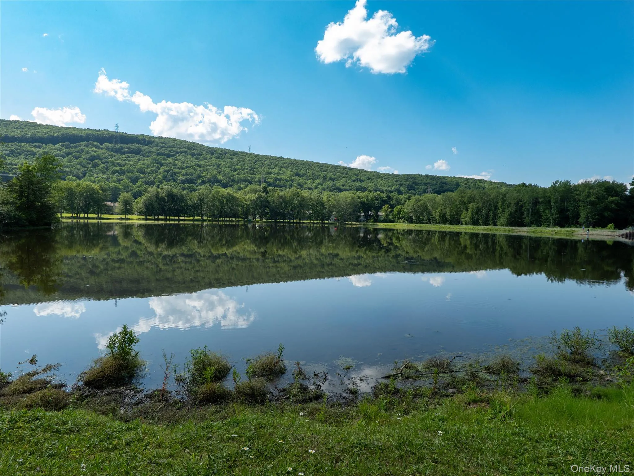 402 Mountain Laurel Drive, Chester Town, NY, 3 Bedrooms Bedrooms, 9 Rooms Rooms,2 BathroomsBathrooms,Residential Lease,For Rent,Mountain Laurel,0,1042777 402 Mountain Laurel Drive, Chester Town, NY, 3 Bedrooms Bedrooms, 9 Rooms Rooms,2 BathroomsBathrooms,Residential Lease,For Rent,Mountain Laurel,0,1042777