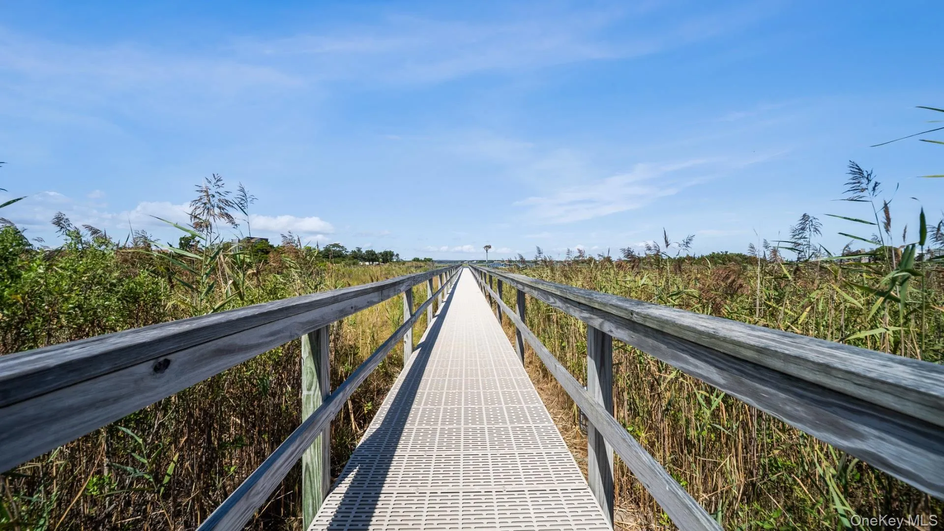 102 & 92 Dune Road, Southampton, NY, 6 Bedrooms Bedrooms, 15 Rooms Rooms,6 BathroomsBathrooms,Residential,For Rent,Dune,0,1042786 102 & 92 Dune Road, Southampton, NY, 6 Bedrooms Bedrooms, 15 Rooms Rooms,6 BathroomsBathrooms,Residential,For Rent,Dune,0,1042786