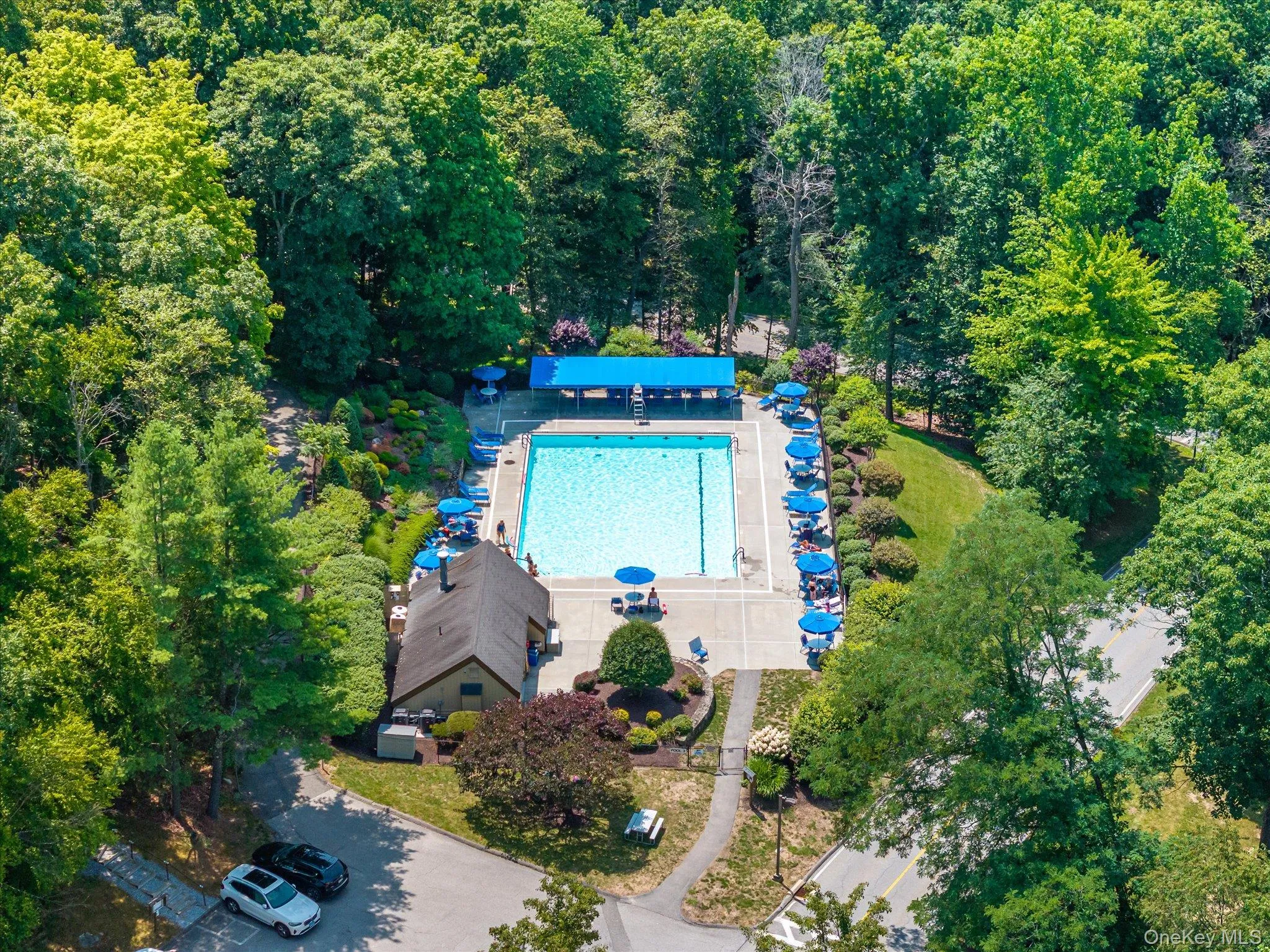 Pool 5 Pool 5
