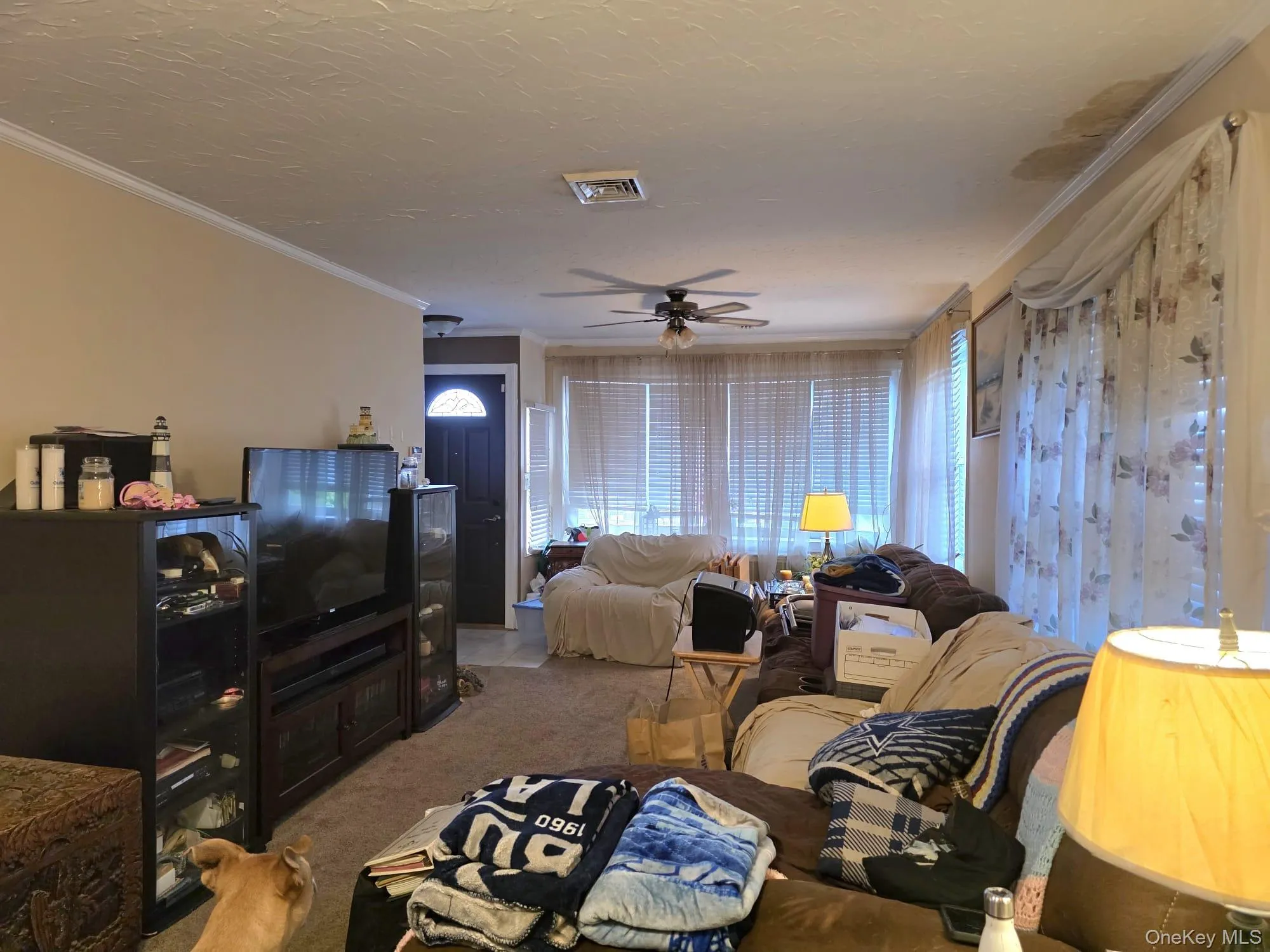 354 Beech Street, Long Beach, NY, 4 Bedrooms Bedrooms, 8 Rooms Rooms,2 BathroomsBathrooms,Residential,For Rent,Beech,0,1042841 354 Beech Street, Long Beach, NY, 4 Bedrooms Bedrooms, 8 Rooms Rooms,2 BathroomsBathrooms,Residential,For Rent,Beech,0,1042841