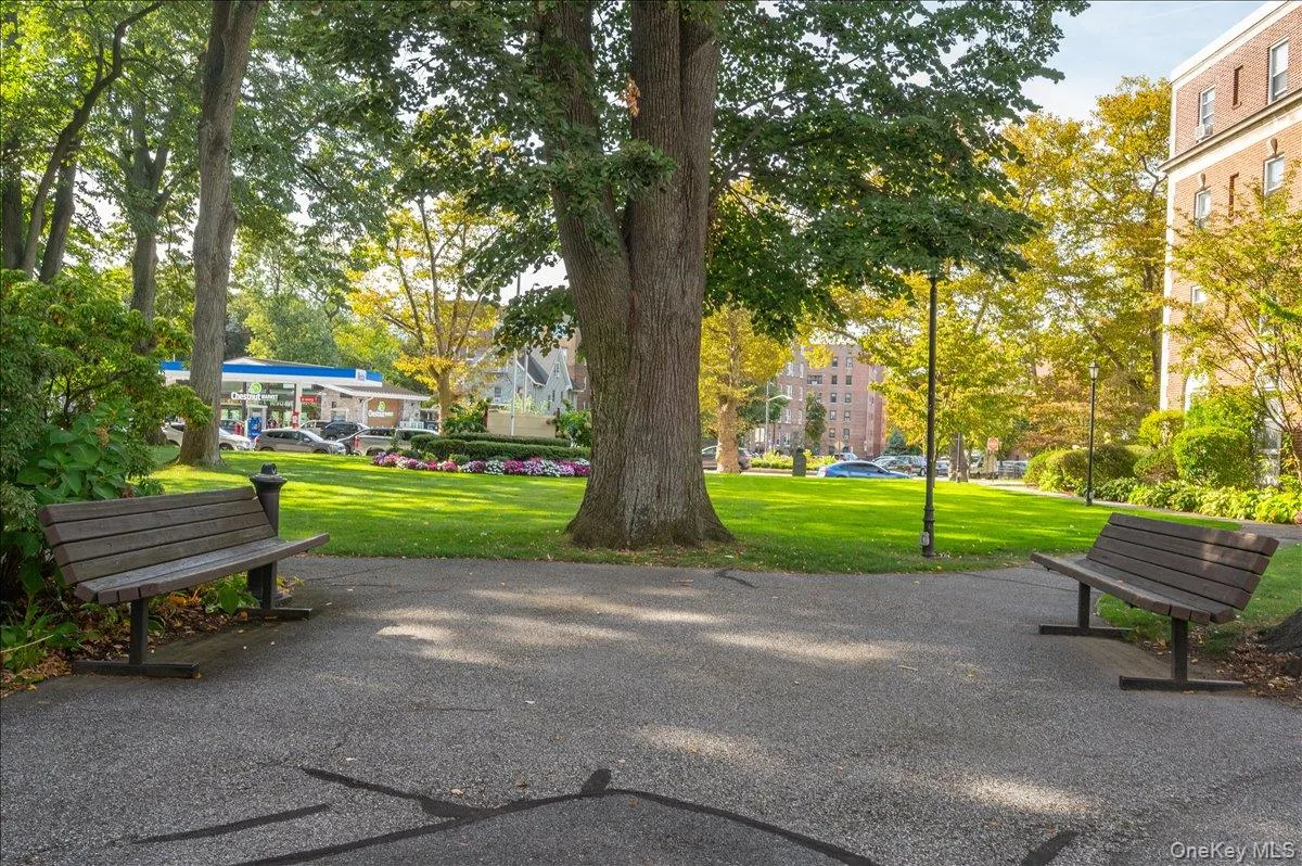 445 Gramatan Avenue, Mount Vernon, NY, 2 Bedrooms Bedrooms, 4 Rooms Rooms,1 BathroomBathrooms,Residential,For Rent,Gramatan Avenue,0,1042852 445 Gramatan Avenue, Mount Vernon, NY, 2 Bedrooms Bedrooms, 4 Rooms Rooms,1 BathroomBathrooms,Residential,For Rent,Gramatan Avenue,0,1042852