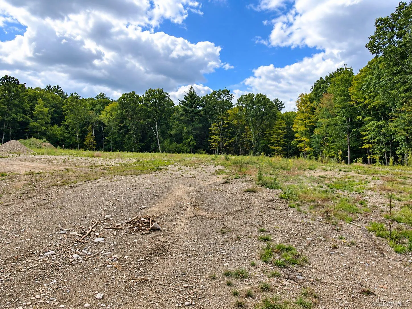 775 Academy Hill Road, Milan, NY, ,Land,For Rent,Academy Hill,0,1042877 775 Academy Hill Road, Milan, NY, ,Land,For Rent,Academy Hill,0,1042877