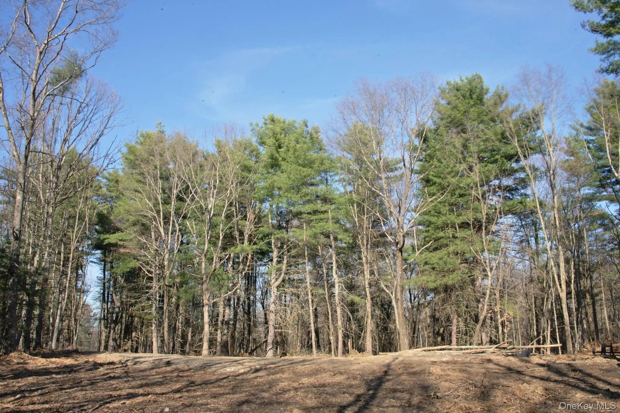 775 Academy Hill Road, Milan, NY, ,Land,For Rent,Academy Hill,0,1042877 775 Academy Hill Road, Milan, NY, ,Land,For Rent,Academy Hill,0,1042877