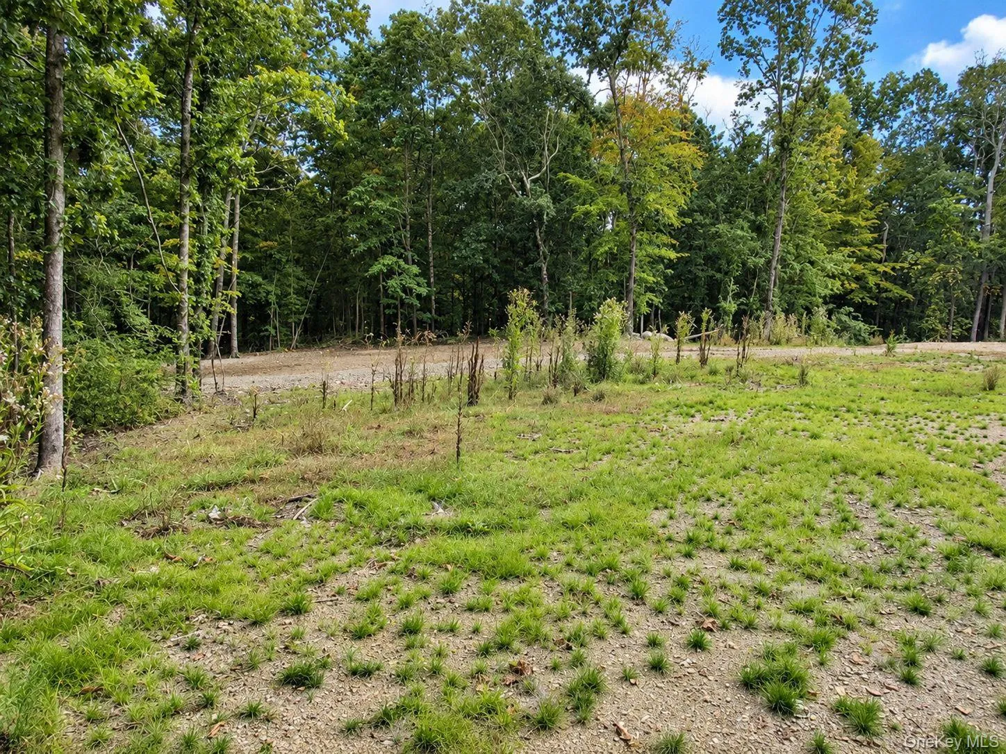 775 Academy Hill Road, Milan, NY, ,Land,For Rent,Academy Hill,0,1042877 775 Academy Hill Road, Milan, NY, ,Land,For Rent,Academy Hill,0,1042877