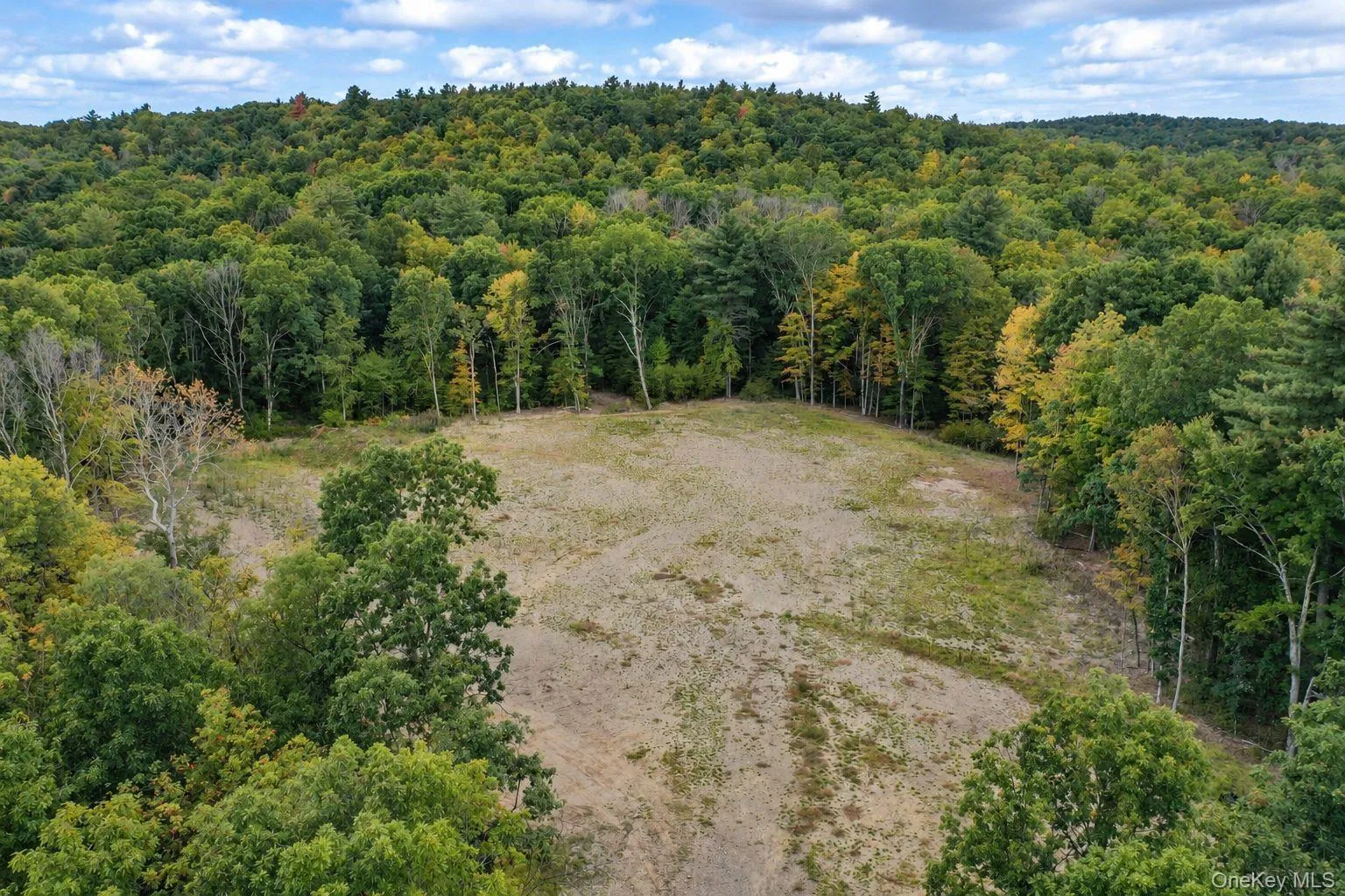 775 Academy Hill Road, Milan, NY, ,Land,For Rent,Academy Hill,0,1042877 775 Academy Hill Road, Milan, NY, ,Land,For Rent,Academy Hill,0,1042877