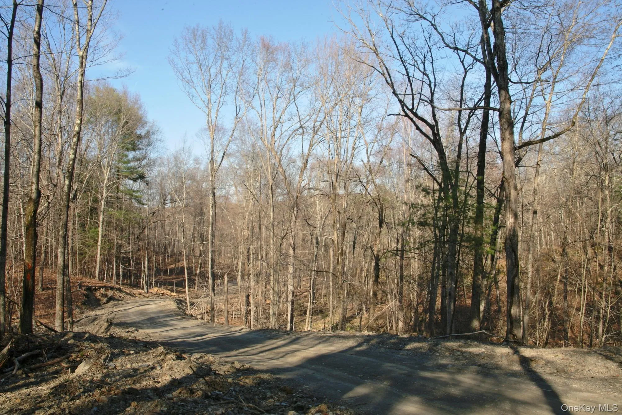 775 Academy Hill Road, Milan, NY, ,Land,For Rent,Academy Hill,0,1042877 775 Academy Hill Road, Milan, NY, ,Land,For Rent,Academy Hill,0,1042877