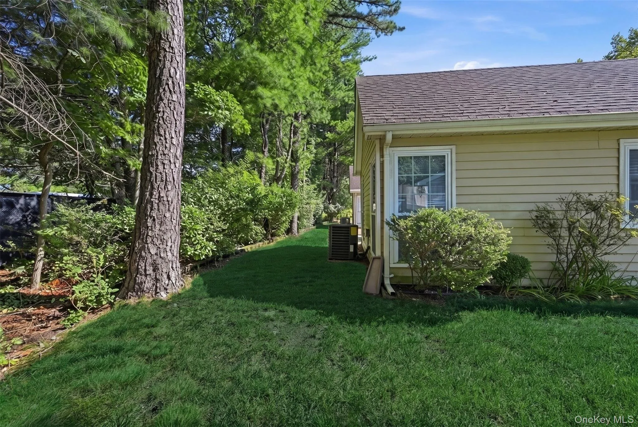 Private Wooded Backyard. Private Wooded Backyard.