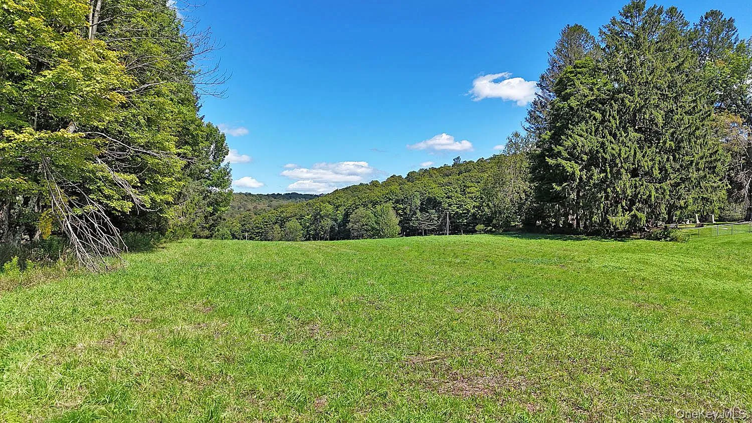 4011 Klondike Road, Hancock, NY, 3 Bedrooms Bedrooms, 6 Rooms Rooms,2 BathroomsBathrooms,Residential,For Rent,Klondike,0,1042908 4011 Klondike Road, Hancock, NY, 3 Bedrooms Bedrooms, 6 Rooms Rooms,2 BathroomsBathrooms,Residential,For Rent,Klondike,0,1042908