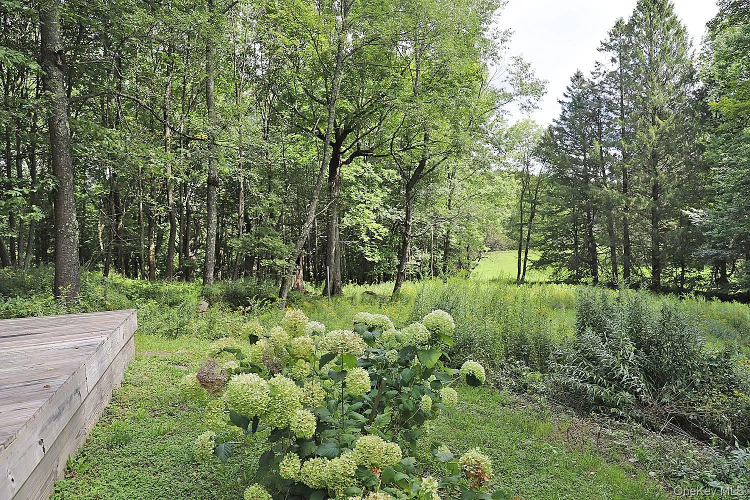 4011 Klondike Road, Hancock, NY, 3 Bedrooms Bedrooms, 6 Rooms Rooms,2 BathroomsBathrooms,Residential,For Rent,Klondike,0,1042908 4011 Klondike Road, Hancock, NY, 3 Bedrooms Bedrooms, 6 Rooms Rooms,2 BathroomsBathrooms,Residential,For Rent,Klondike,0,1042908