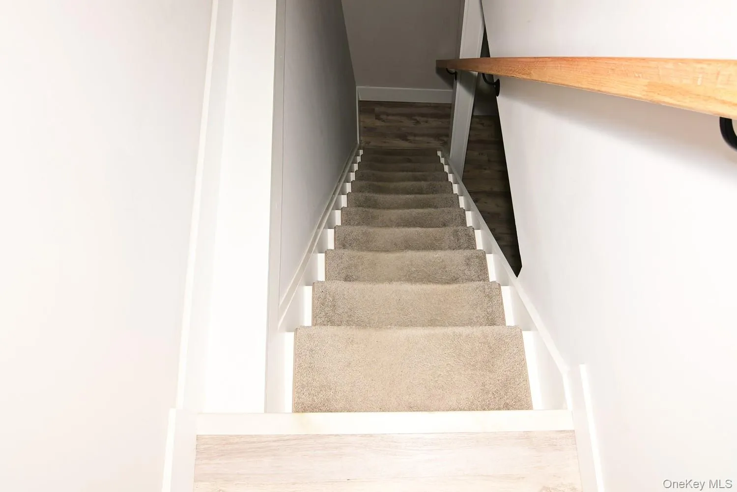 Carpeted staircase with white risers and a wood handrail