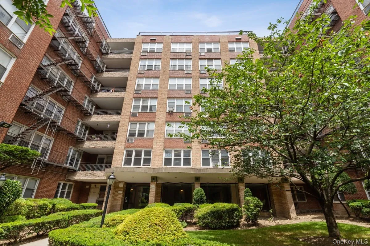 94-11 59th Avenue, New York, NY, 1 Bedroom Bedrooms, 3 Rooms Rooms,1 BathroomBathrooms,Residential,For Rent,59th,0,1042990 94-11 59th Avenue, New York, NY, 1 Bedroom Bedrooms, 3 Rooms Rooms,1 BathroomBathrooms,Residential,For Rent,59th,0,1042990