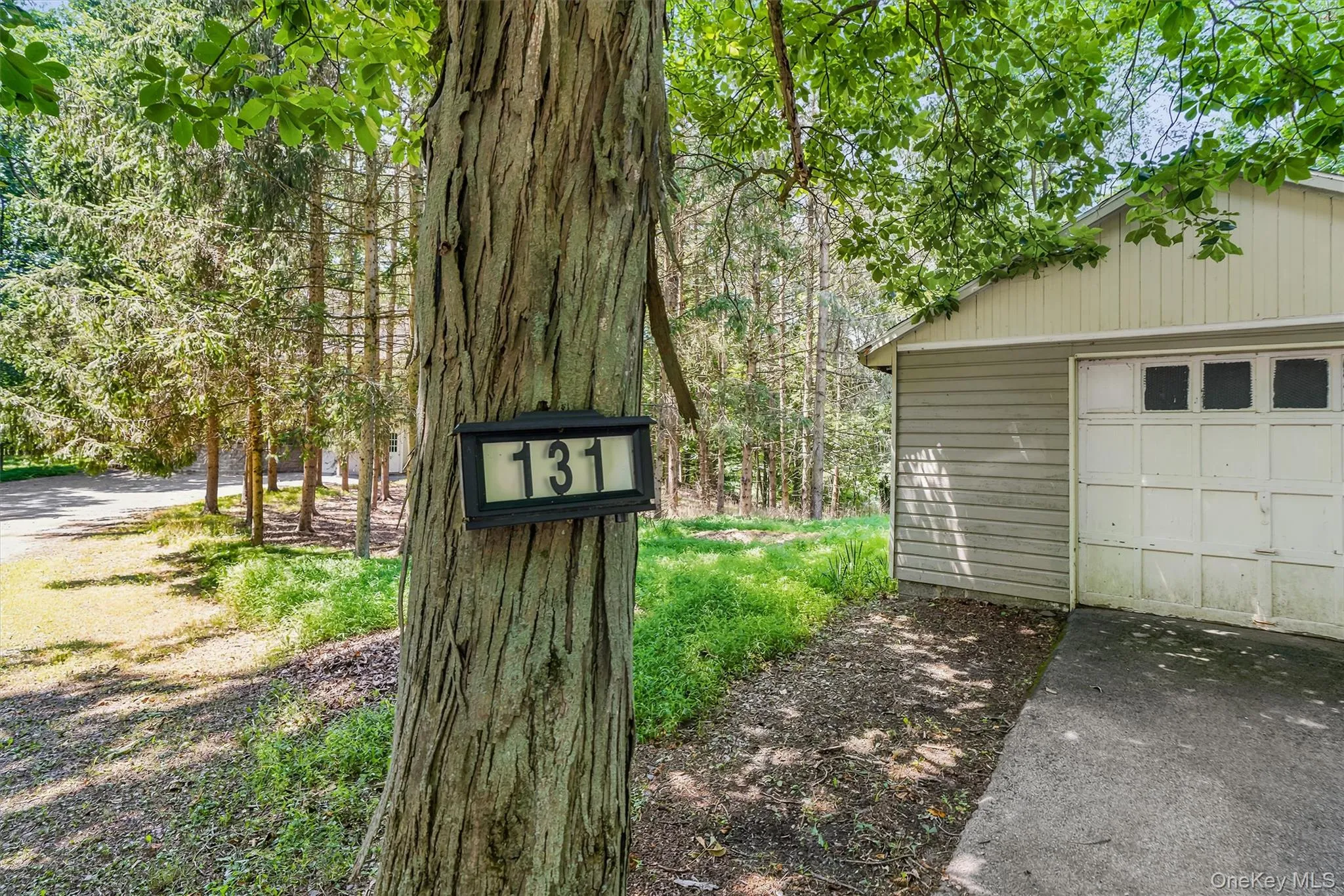 131 Driveway 131 Driveway