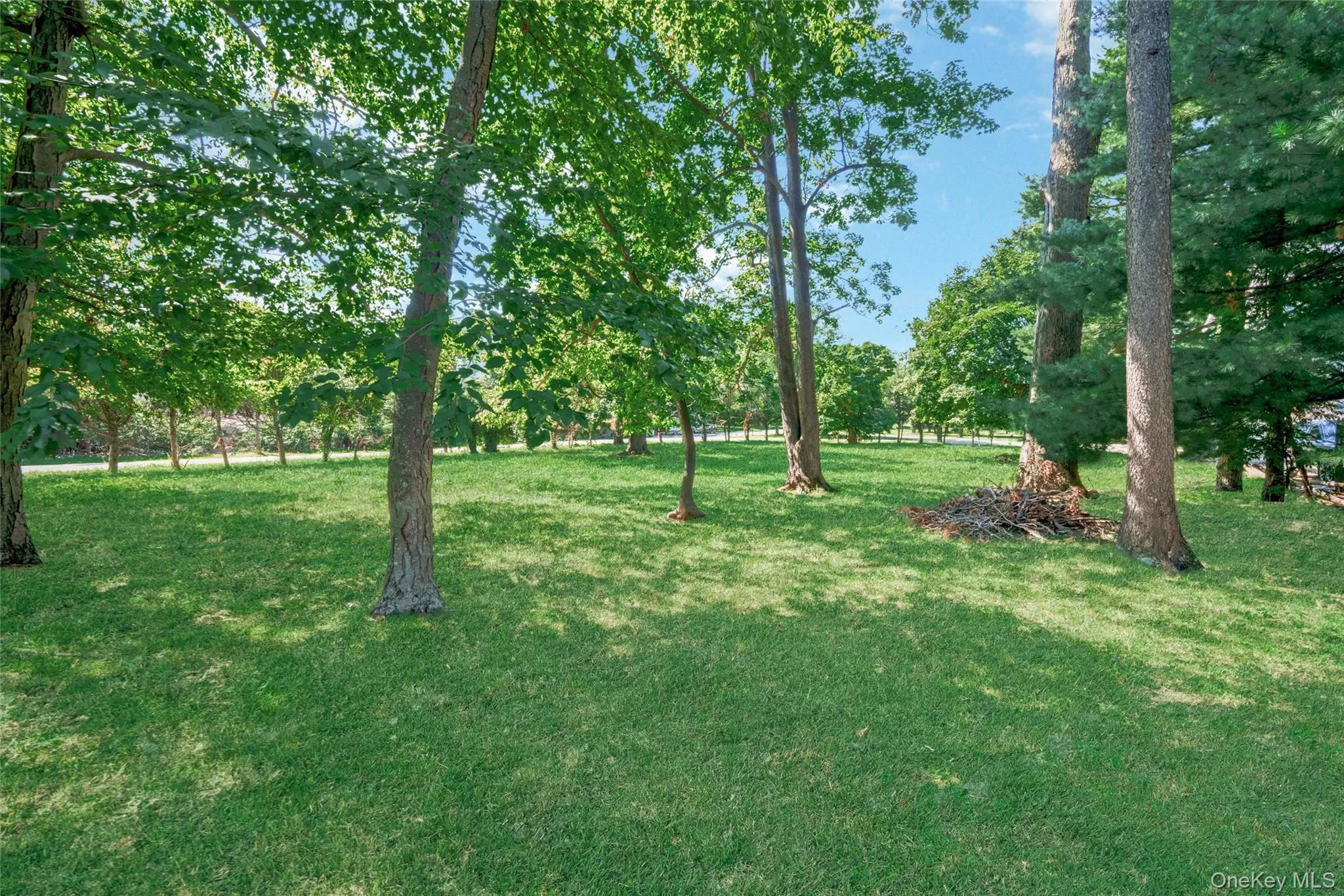 Orchard off Manhattan Manhattan, New Rochelle, NY, ,Land,For Rent,Manhattan,0,1043026 Orchard off Manhattan Manhattan, New Rochelle, NY, ,Land,For Rent,Manhattan,0,1043026