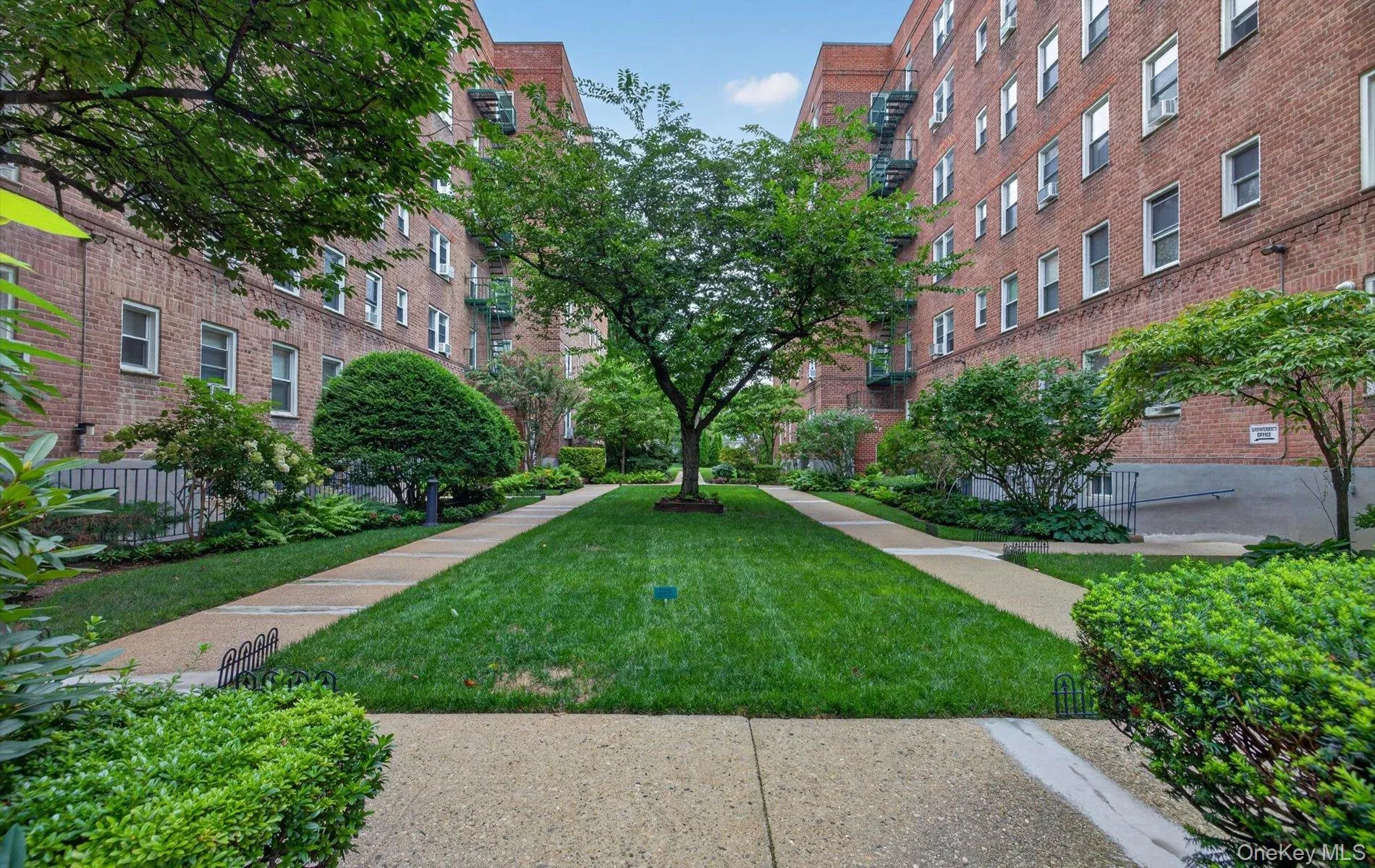 36 Cathedral Avenue, Hempstead, NY, 1 Bedroom Bedrooms, 4 Rooms Rooms,1 BathroomBathrooms,Residential,For Rent,Cathedral,0,1043069 36 Cathedral Avenue, Hempstead, NY, 1 Bedroom Bedrooms, 4 Rooms Rooms,1 BathroomBathrooms,Residential,For Rent,Cathedral,0,1043069