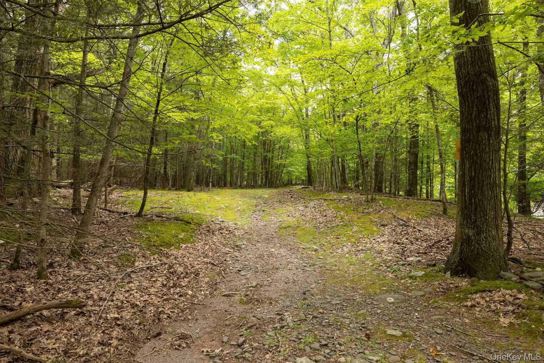 Additional 6.6 Acre Lot Additional 6.6 Acre Lot