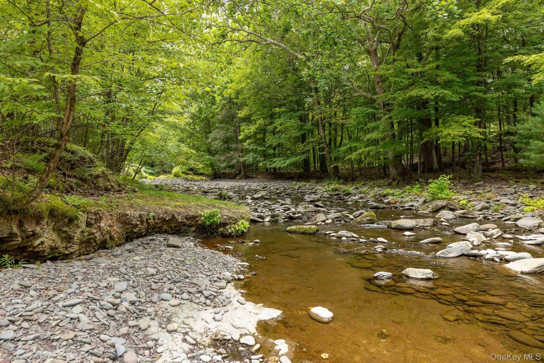 Creek running through the property Creek running through the property