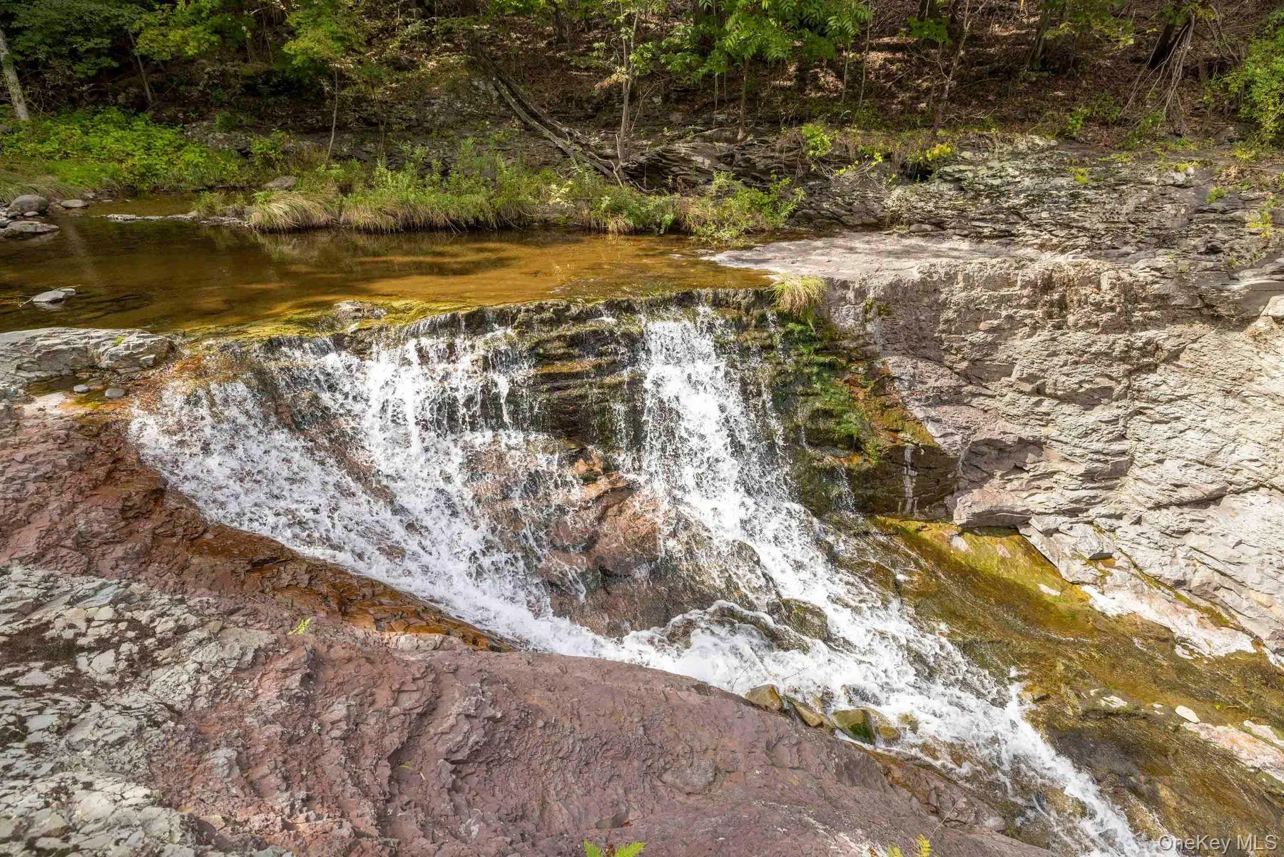 61 Woodland Falls Road, Saugerties, NY, 2 Bedrooms Bedrooms, 10 Rooms Rooms,2 BathroomsBathrooms,Residential,For Rent,Woodland Falls,0,1043078 61 Woodland Falls Road, Saugerties, NY, 2 Bedrooms Bedrooms, 10 Rooms Rooms,2 BathroomsBathrooms,Residential,For Rent,Woodland Falls,0,1043078