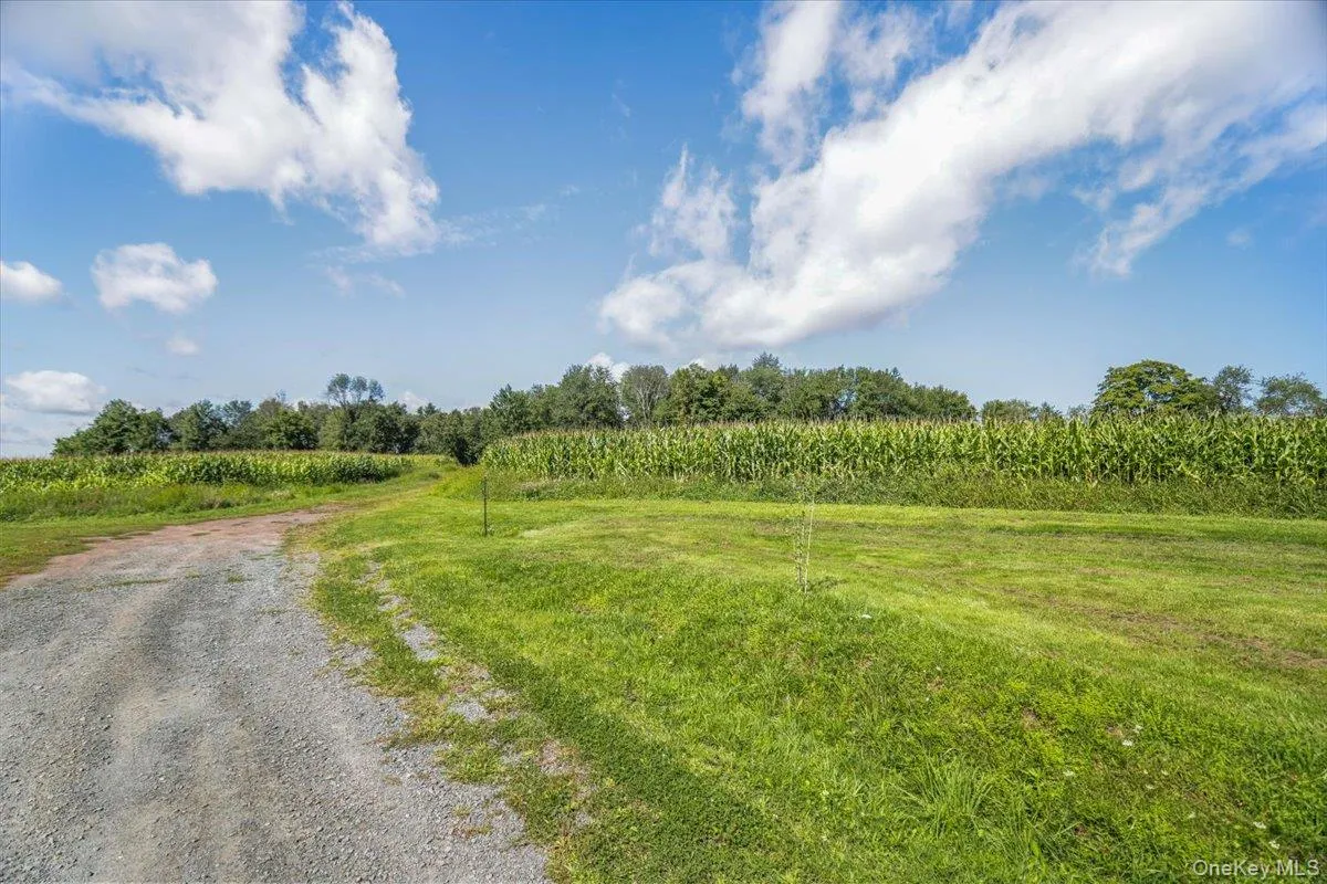 21 Hans Fischer Road, Bethel, NY, 4 Bedrooms Bedrooms, 5 Rooms Rooms,1 BathroomBathrooms,Residential,For Rent,Hans Fischer,0,1043096 21 Hans Fischer Road, Bethel, NY, 4 Bedrooms Bedrooms, 5 Rooms Rooms,1 BathroomBathrooms,Residential,For Rent,Hans Fischer,0,1043096