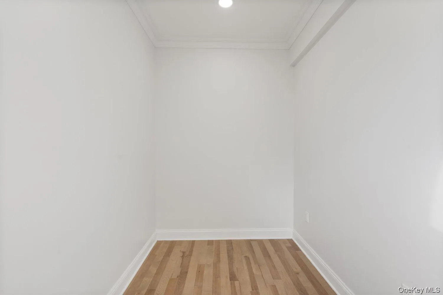 Bonus Room Bonus Room