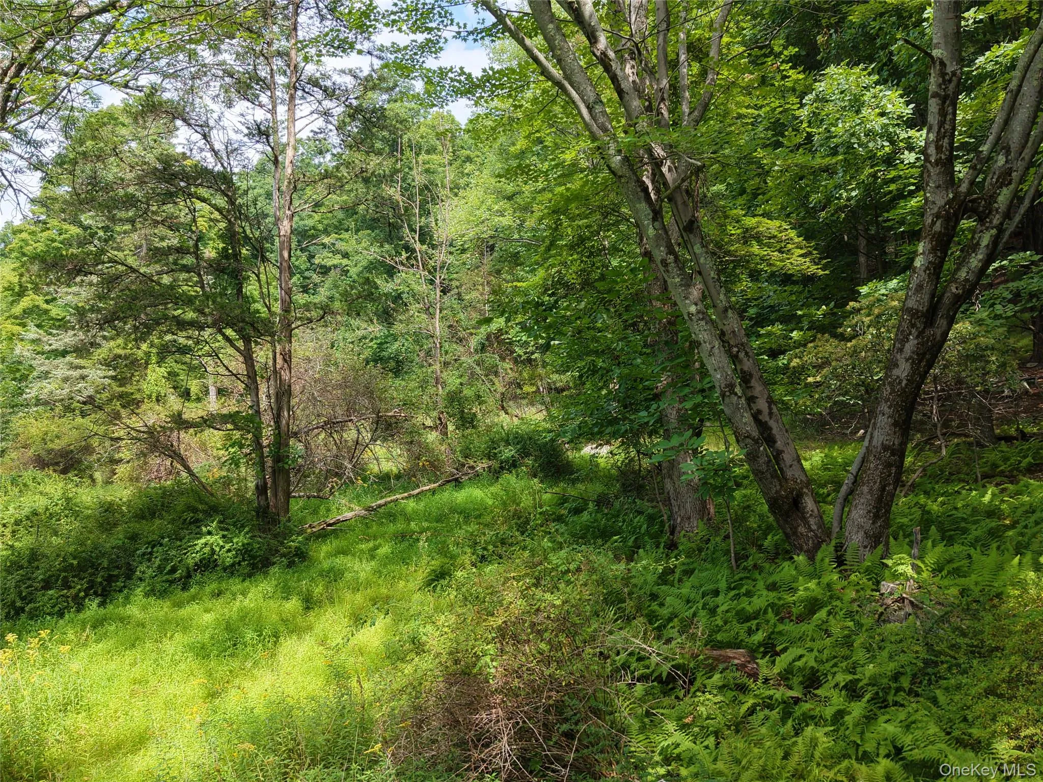 Twinshaven Road, Neversink, NY, ,Land,For Rent,Twinshaven,0,1043126 Twinshaven Road, Neversink, NY, ,Land,For Rent,Twinshaven,0,1043126