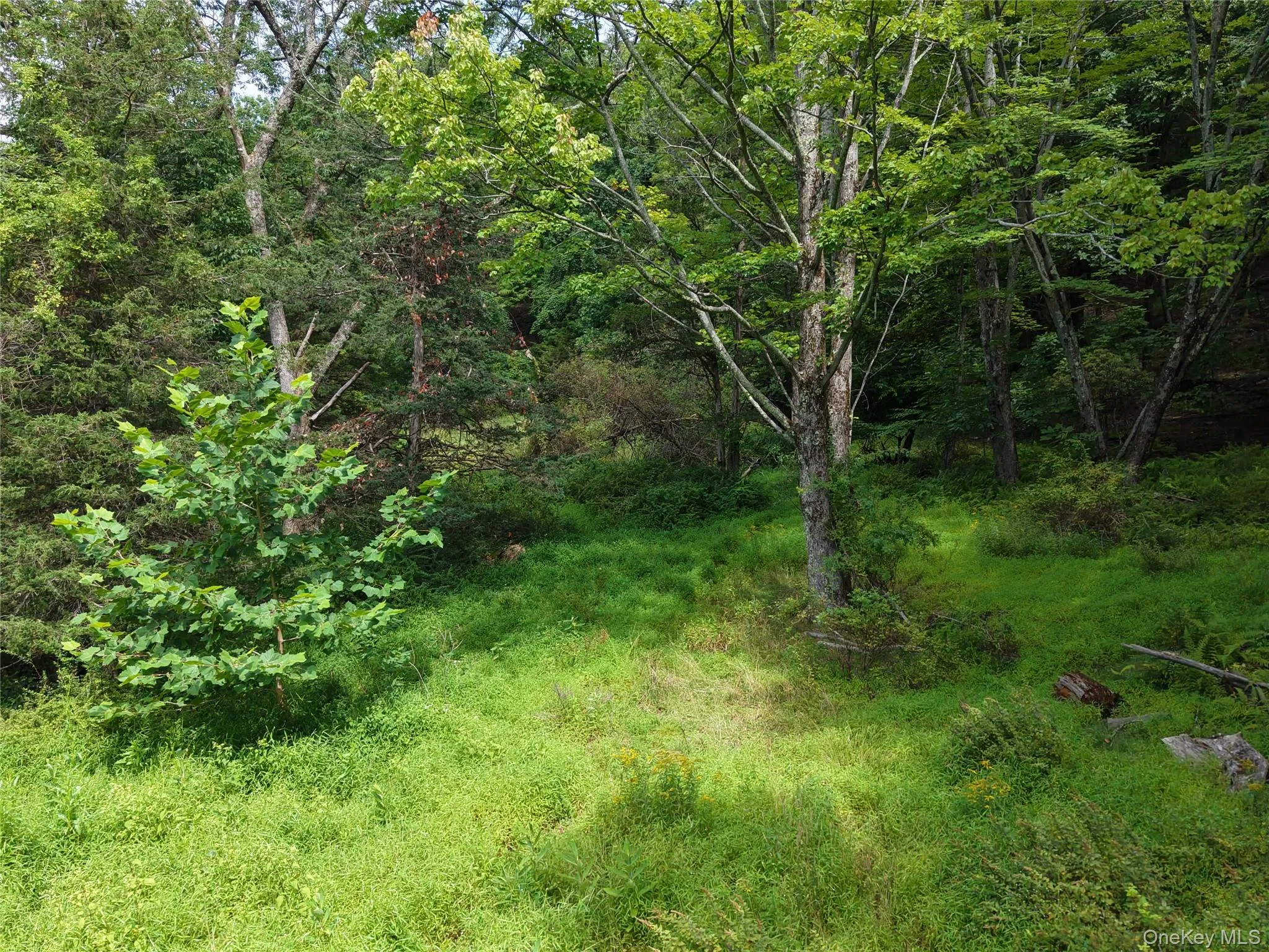 Twinshaven Road, Neversink, NY, ,Land,For Rent,Twinshaven,0,1043126 Twinshaven Road, Neversink, NY, ,Land,For Rent,Twinshaven,0,1043126