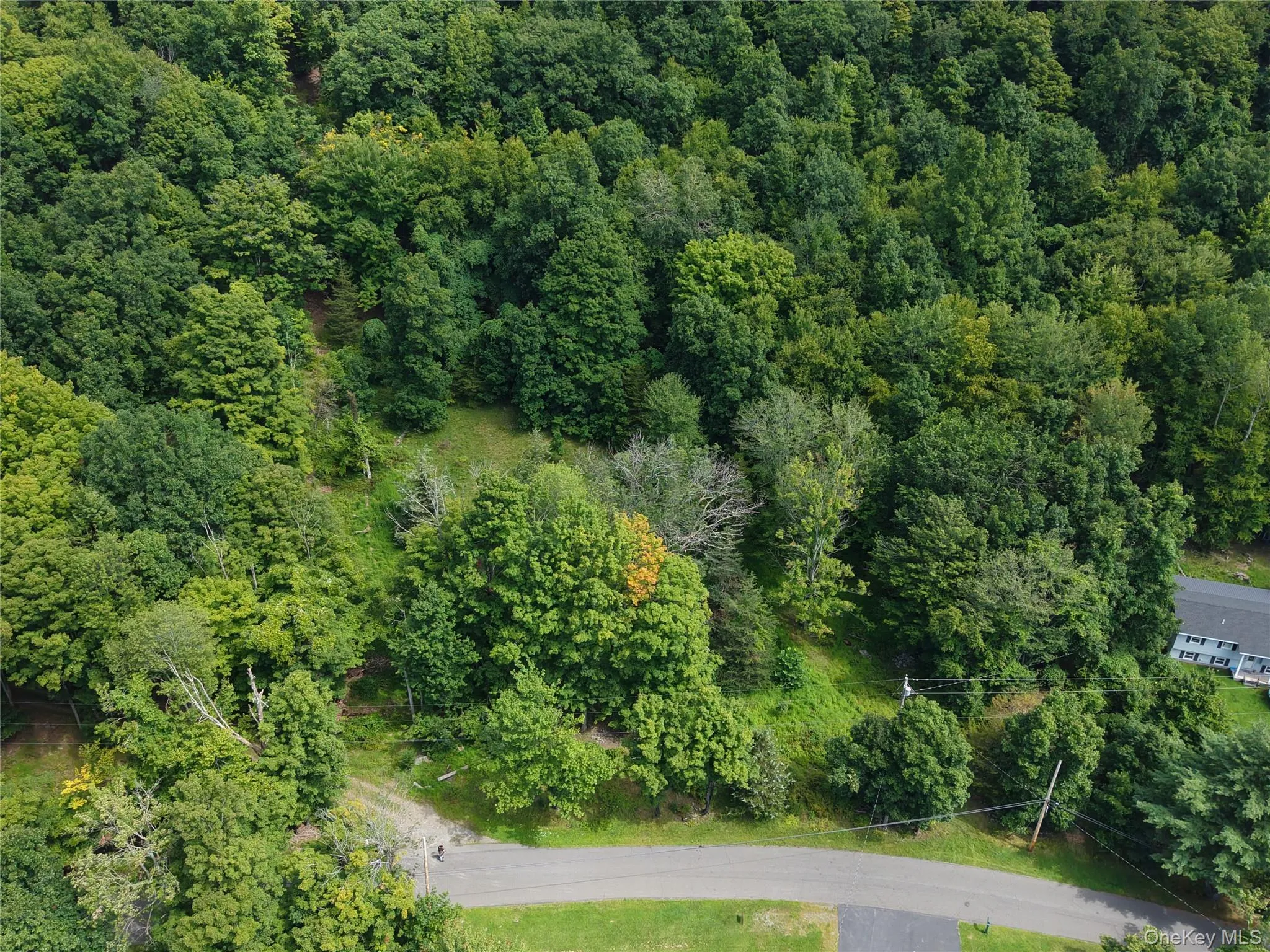 Twinshaven Road, Neversink, NY, ,Land,For Rent,Twinshaven,0,1043126 Twinshaven Road, Neversink, NY, ,Land,For Rent,Twinshaven,0,1043126