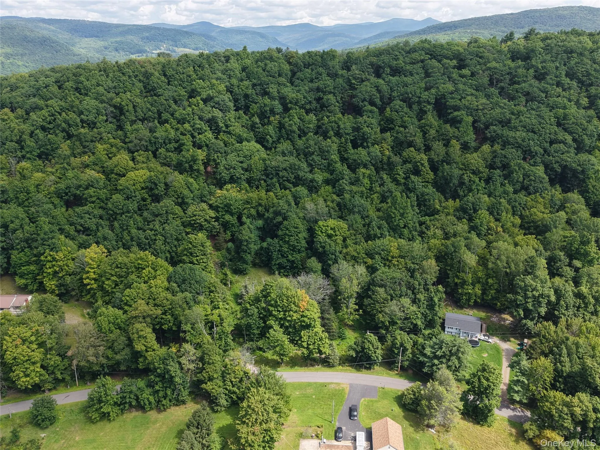 Twinshaven Road, Neversink, NY, ,Land,For Rent,Twinshaven,0,1043126 Twinshaven Road, Neversink, NY, ,Land,For Rent,Twinshaven,0,1043126