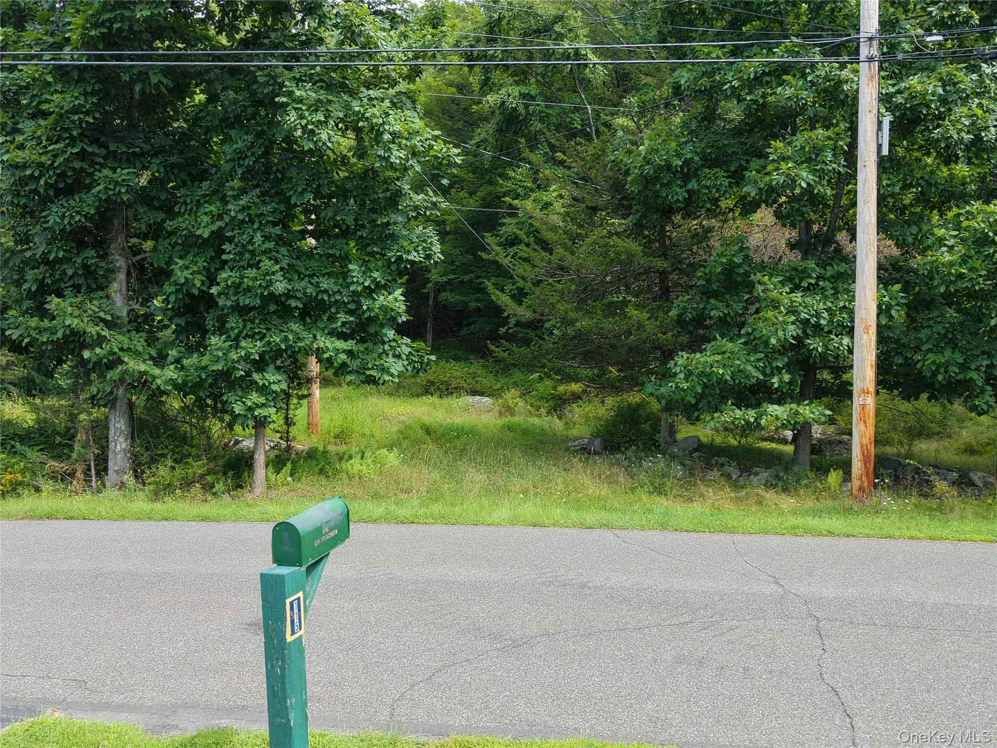 Twinshaven Road, Neversink, NY, ,Land,For Rent,Twinshaven,0,1043126 Twinshaven Road, Neversink, NY, ,Land,For Rent,Twinshaven,0,1043126