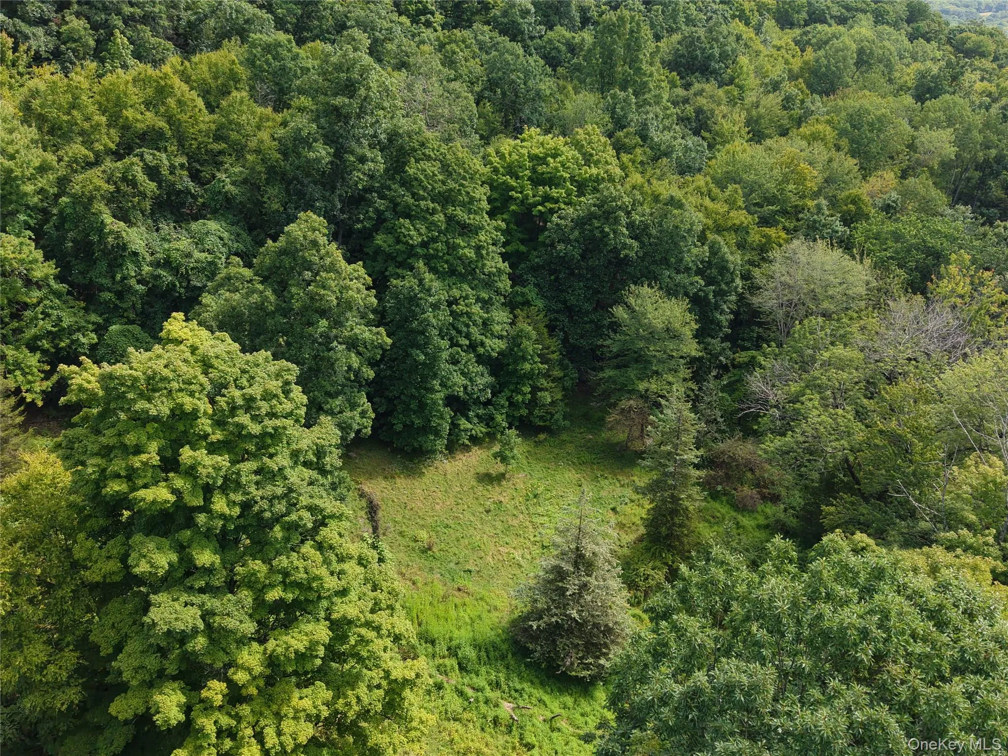 Twinshaven Road, Neversink, NY, ,Land,For Rent,Twinshaven,0,1043126 Twinshaven Road, Neversink, NY, ,Land,For Rent,Twinshaven,0,1043126