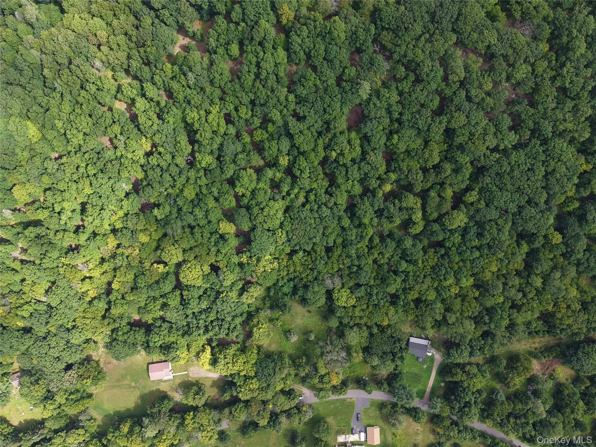 Twinshaven Road, Neversink, NY, ,Land,For Rent,Twinshaven,0,1043126 Twinshaven Road, Neversink, NY, ,Land,For Rent,Twinshaven,0,1043126