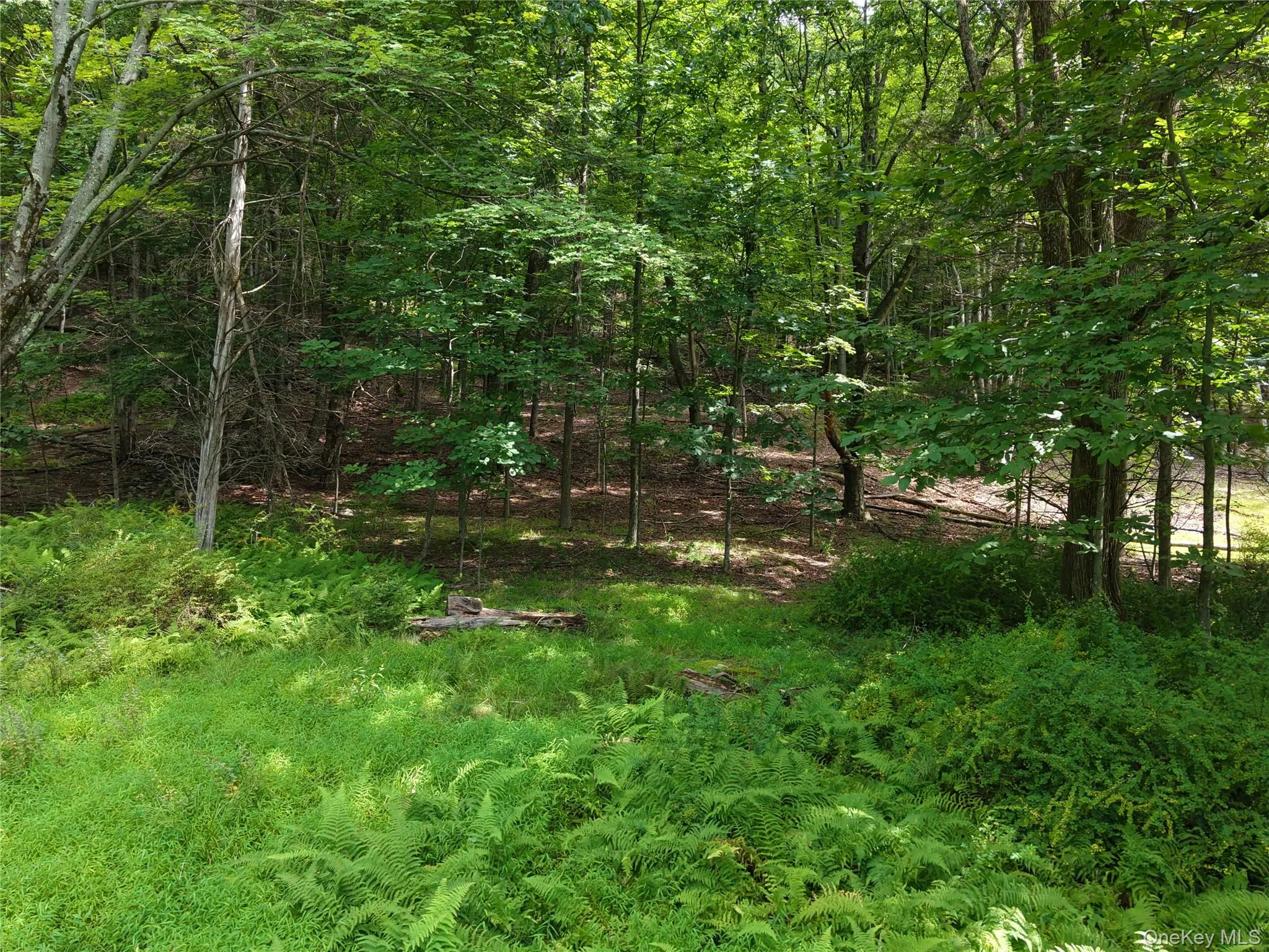 Twinshaven Road, Neversink, NY, ,Land,For Rent,Twinshaven,0,1043126 Twinshaven Road, Neversink, NY, ,Land,For Rent,Twinshaven,0,1043126