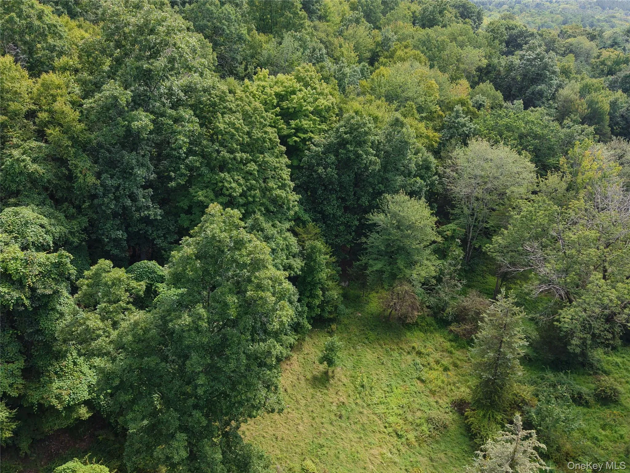 Twinshaven Road, Neversink, NY, ,Land,For Rent,Twinshaven,0,1043126 Twinshaven Road, Neversink, NY, ,Land,For Rent,Twinshaven,0,1043126