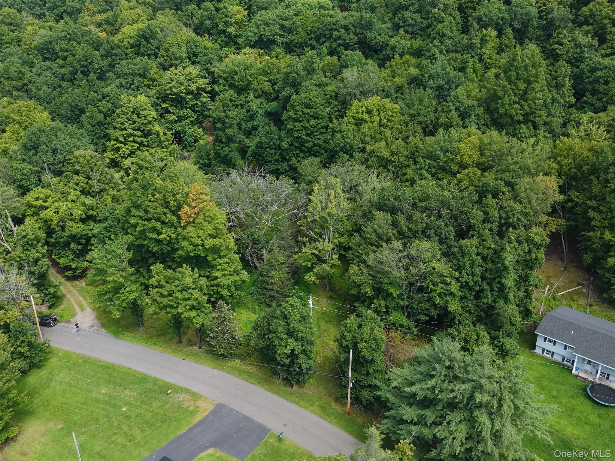 Twinshaven Road, Neversink, NY, ,Land,For Rent,Twinshaven,0,1043126 Twinshaven Road, Neversink, NY, ,Land,For Rent,Twinshaven,0,1043126