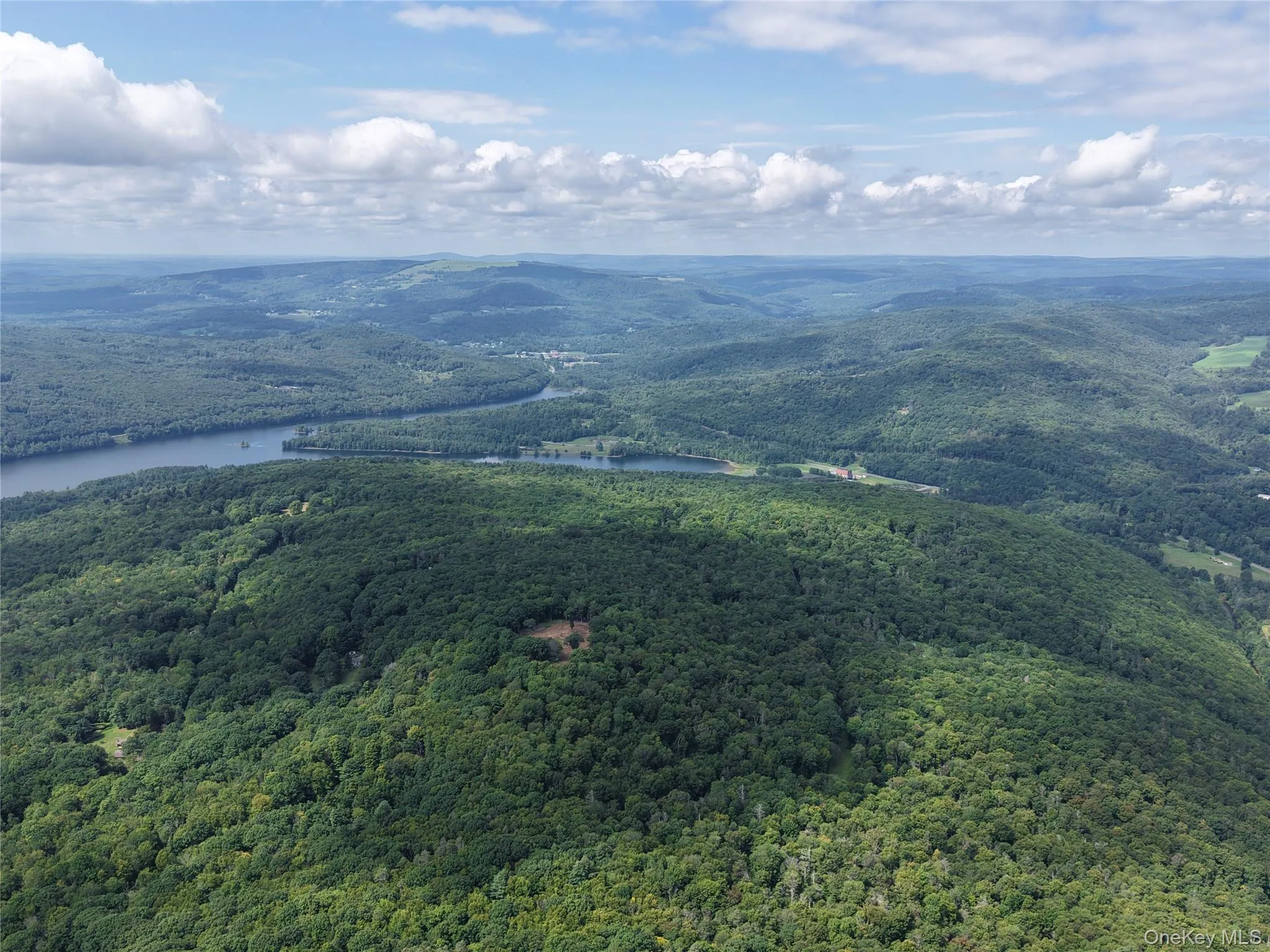 Twinshaven Road, Neversink, NY, ,Land,For Rent,Twinshaven,0,1043126 Twinshaven Road, Neversink, NY, ,Land,For Rent,Twinshaven,0,1043126
