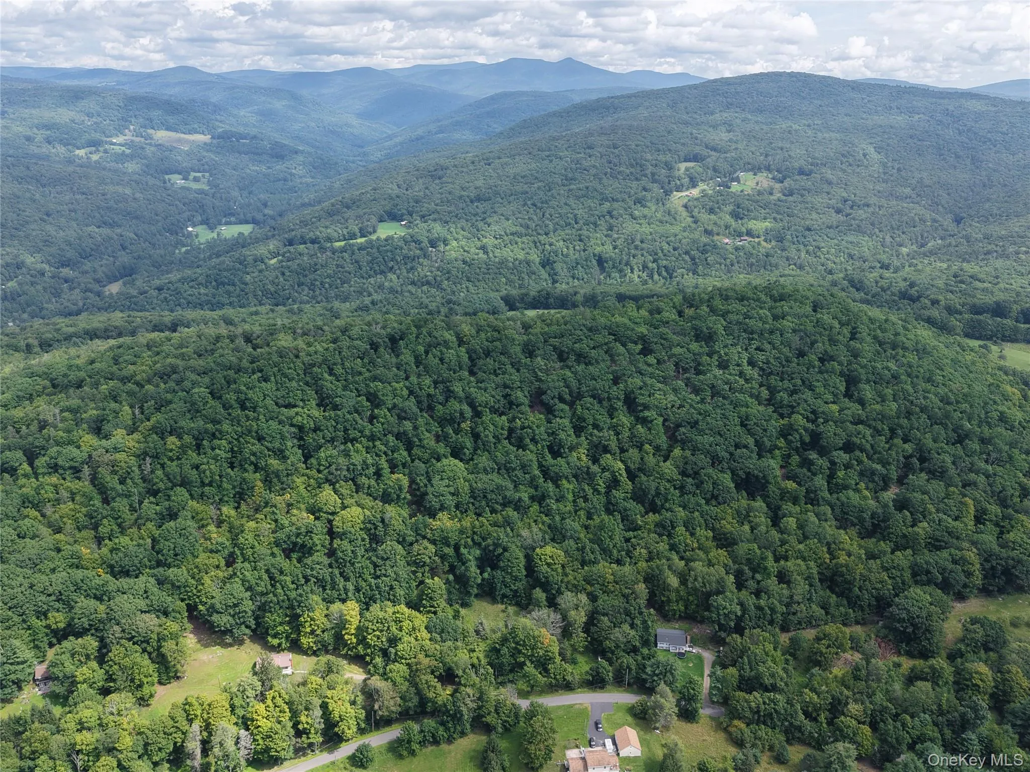Twinshaven Road, Neversink, NY, ,Land,For Rent,Twinshaven,0,1043126 Twinshaven Road, Neversink, NY, ,Land,For Rent,Twinshaven,0,1043126