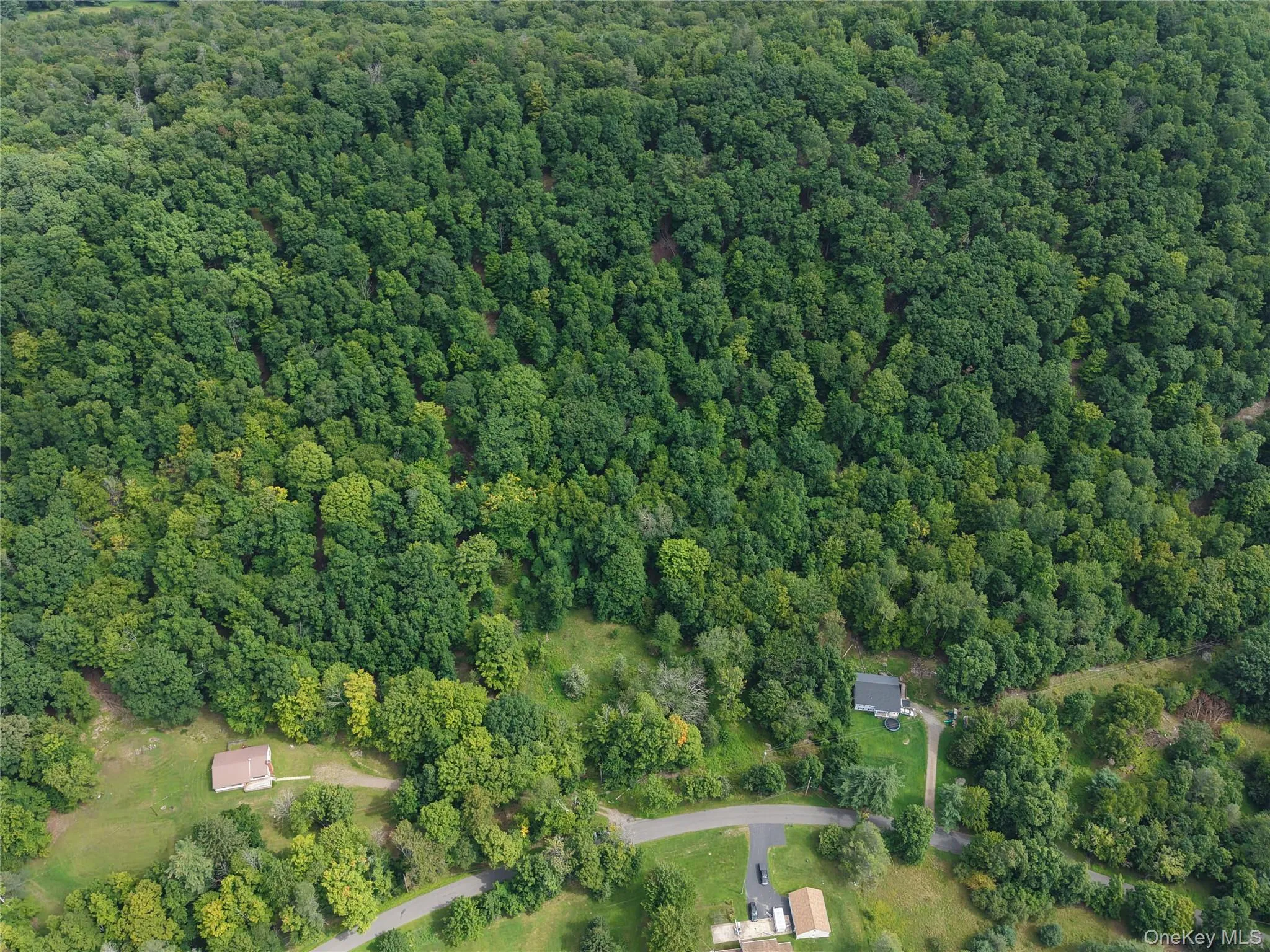 Twinshaven Road, Neversink, NY, ,Land,For Rent,Twinshaven,0,1043126 Twinshaven Road, Neversink, NY, ,Land,For Rent,Twinshaven,0,1043126
