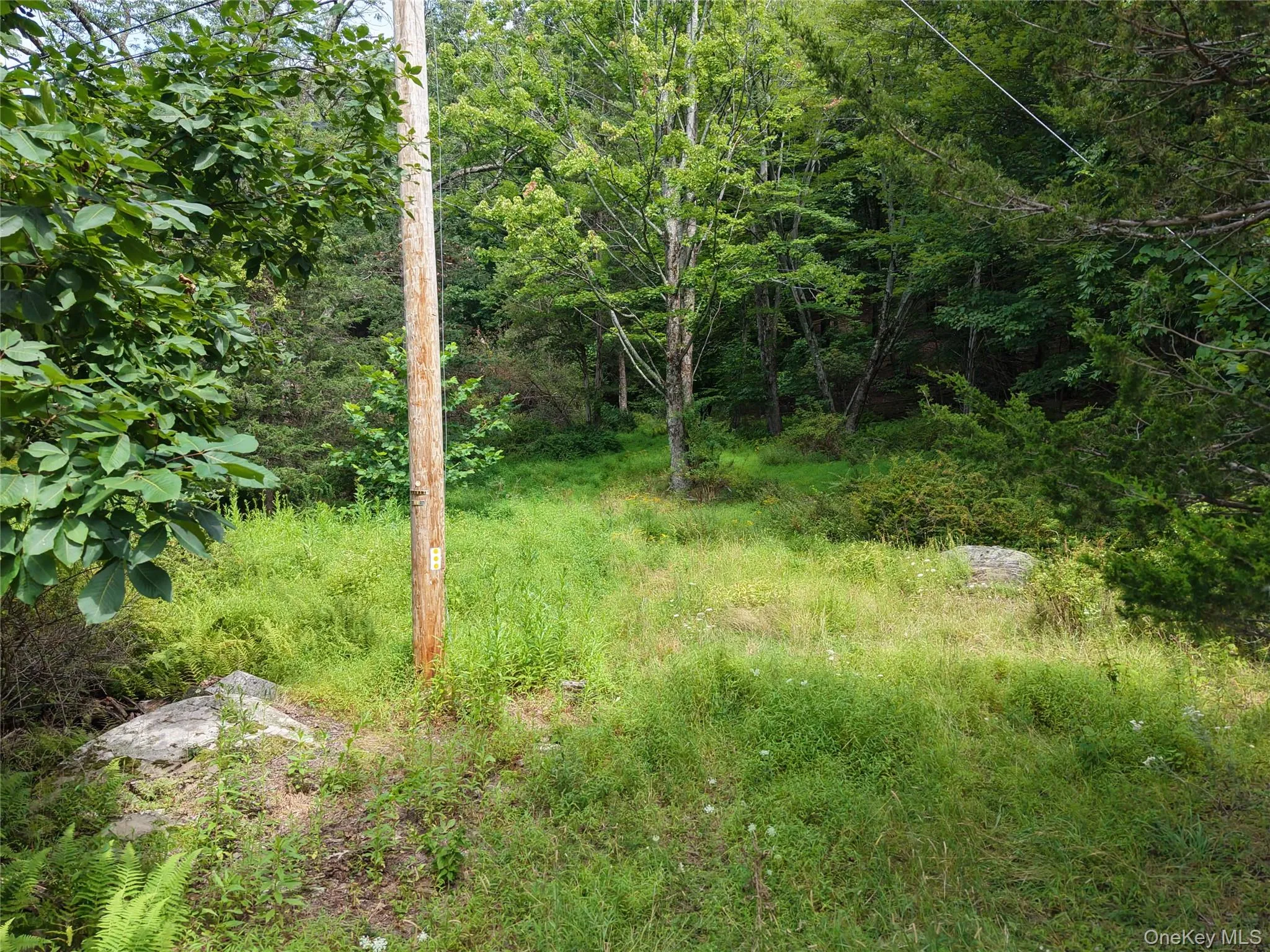 Twinshaven Road, Neversink, NY, ,Land,For Rent,Twinshaven,0,1043126 Twinshaven Road, Neversink, NY, ,Land,For Rent,Twinshaven,0,1043126