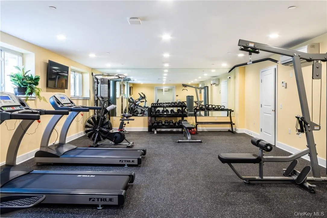 Gym Gym
