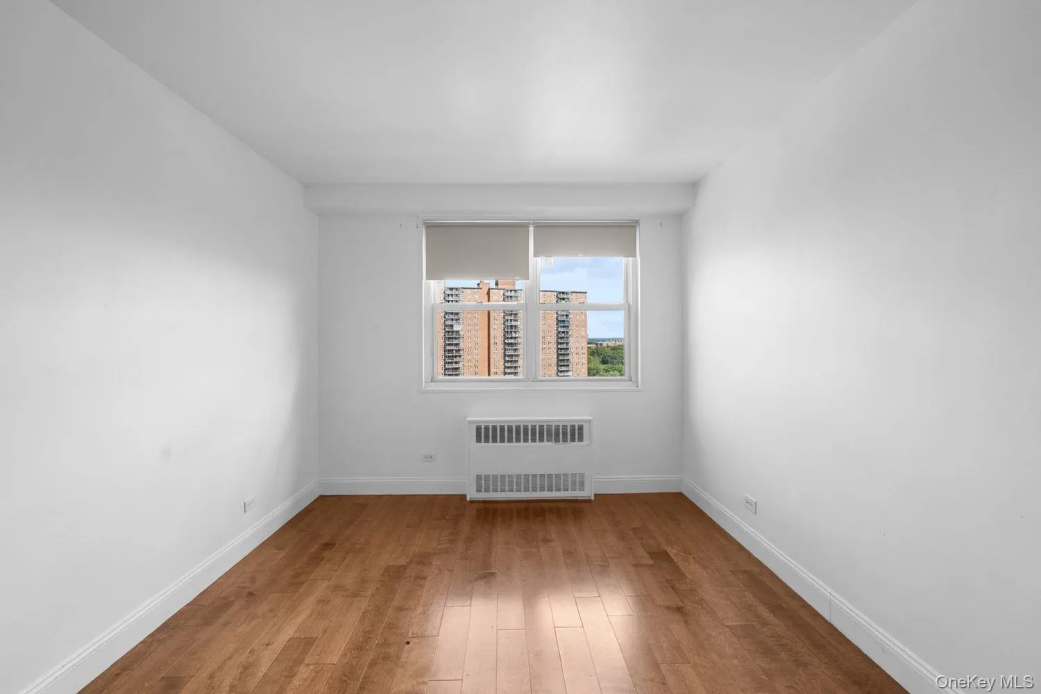 820 Boynton Avenue, New York, NY, 2 Bedrooms Bedrooms, 4 Rooms Rooms,1 BathroomBathrooms,Residential,For Rent,Boynton,0,1043147 820 Boynton Avenue, New York, NY, 2 Bedrooms Bedrooms, 4 Rooms Rooms,1 BathroomBathrooms,Residential,For Rent,Boynton,0,1043147