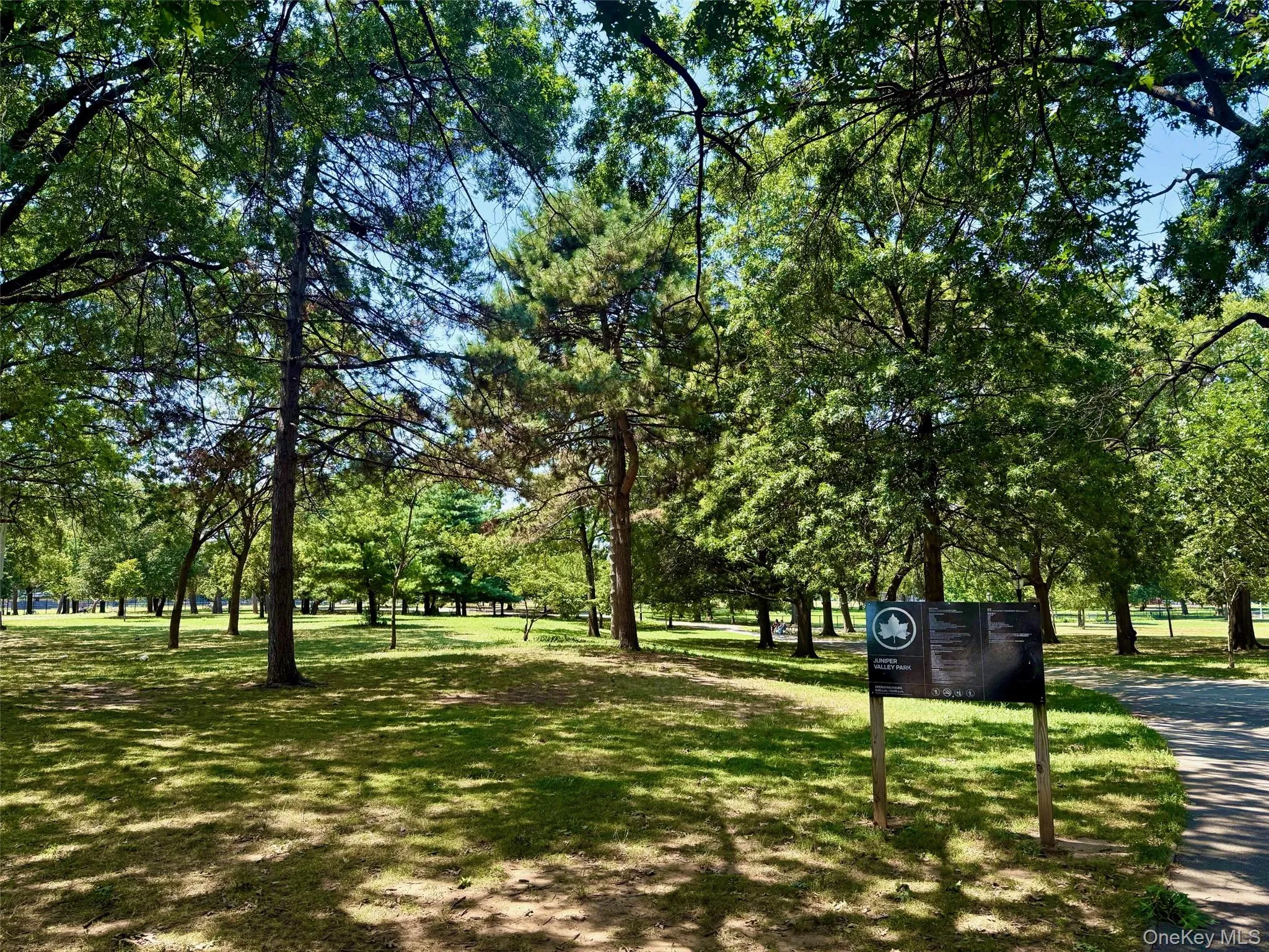 5811 84th Place, New York, NY, 1 Bedroom Bedrooms, 4 Room Rooms,1 BathroomBathrooms,Residential Lease,For Rent,84th,0,1043153 5811 84th Place, New York, NY, 1 Bedroom Bedrooms, 4 Room Rooms,1 BathroomBathrooms,Residential Lease,For Rent,84th,0,1043153