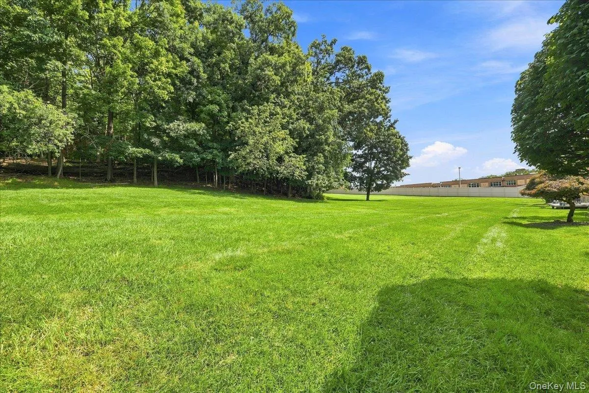 Expansive green lawn with mature trees bordering the property Expansive green lawn with mature trees bordering the property