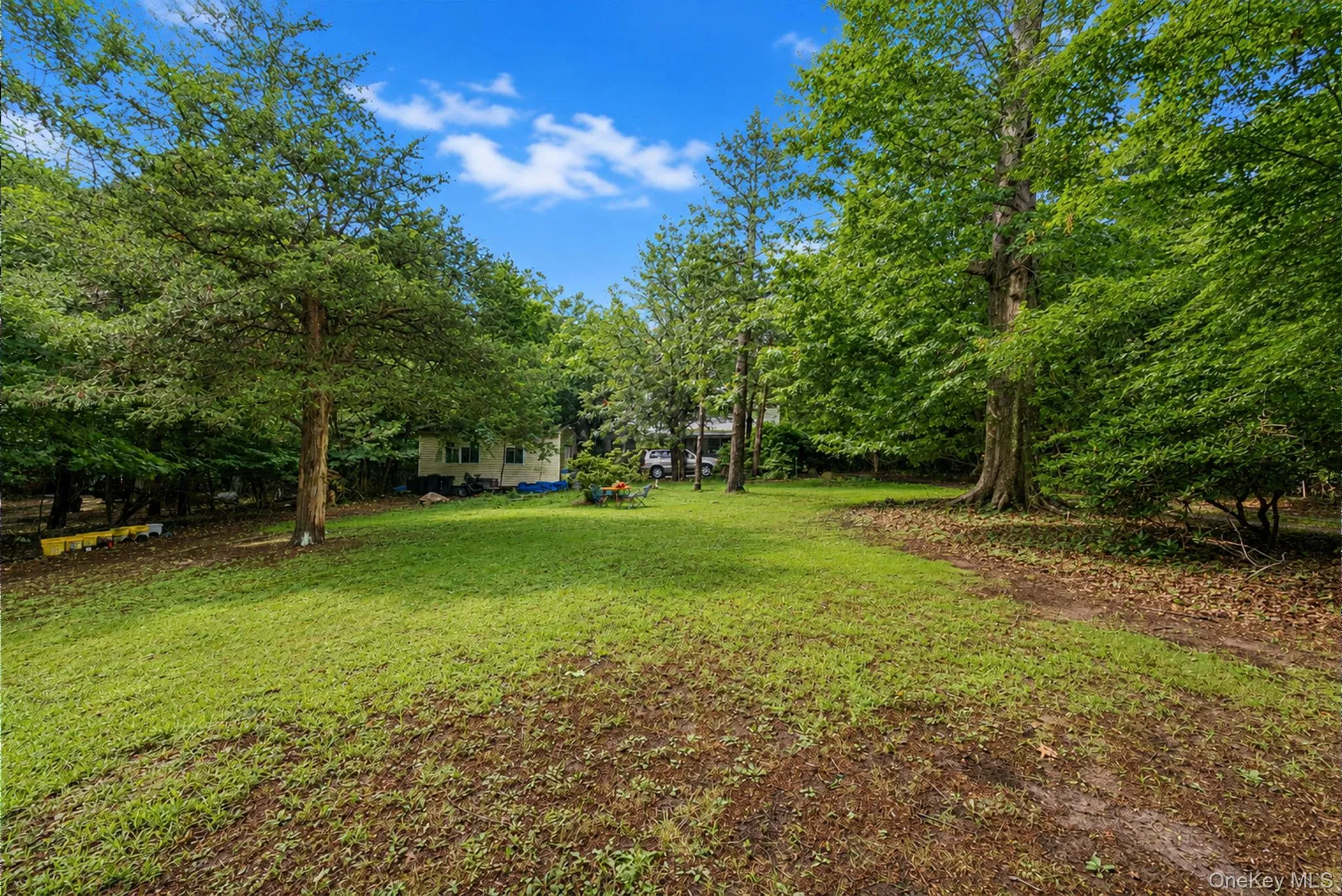59 Dyke Road, Brookhaven, NY, 3 Bedrooms Bedrooms, 5 Rooms Rooms,1 BathroomBathrooms,Residential,For Rent,Dyke,0,1043169 59 Dyke Road, Brookhaven, NY, 3 Bedrooms Bedrooms, 5 Rooms Rooms,1 BathroomBathrooms,Residential,For Rent,Dyke,0,1043169
