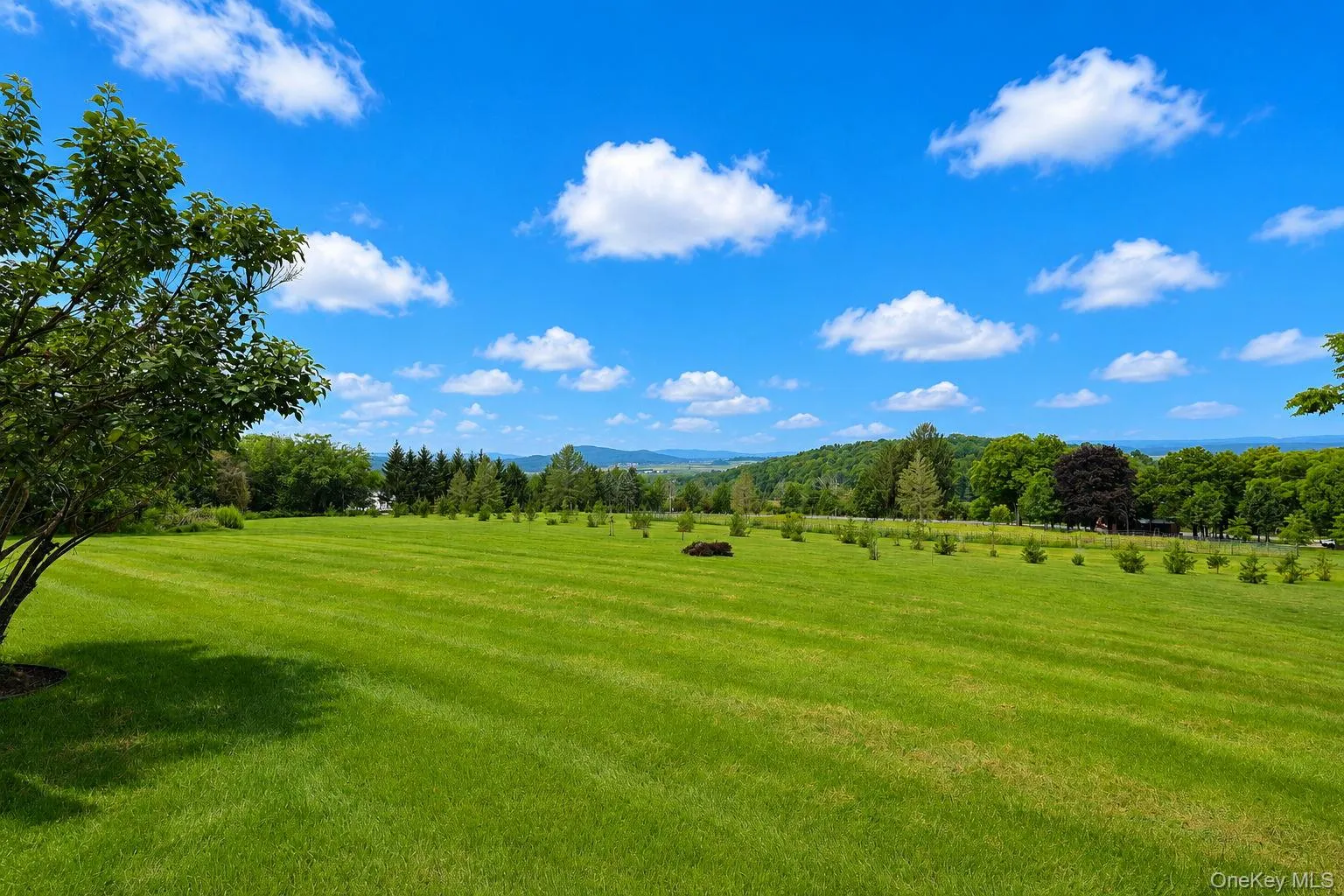 5 Spruce Hill Lane, Goshen, NY, 4 Bedrooms Bedrooms, 11 Rooms Rooms,2 BathroomsBathrooms,Residential,For Rent,Spruce Hill,0,1043187 5 Spruce Hill Lane, Goshen, NY, 4 Bedrooms Bedrooms, 11 Rooms Rooms,2 BathroomsBathrooms,Residential,For Rent,Spruce Hill,0,1043187